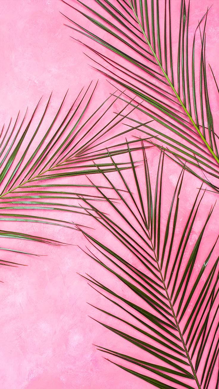 736x1308  Pink Aesthetic 4k Wallpapers - Wallpaper Cave