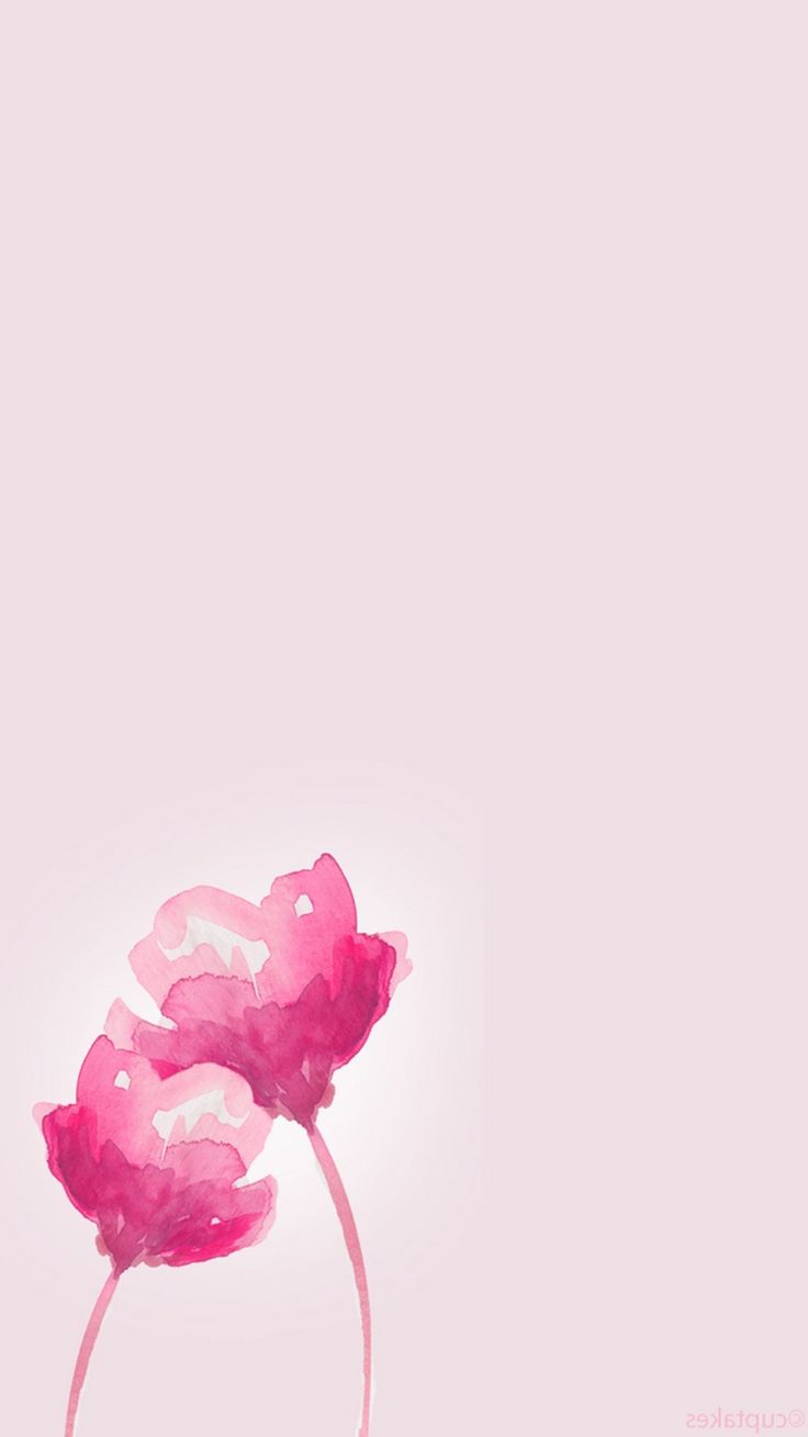 736x1308  pink Sky Wallpapers - Топ бесплатный розовый фон небо - WalpaperAccess