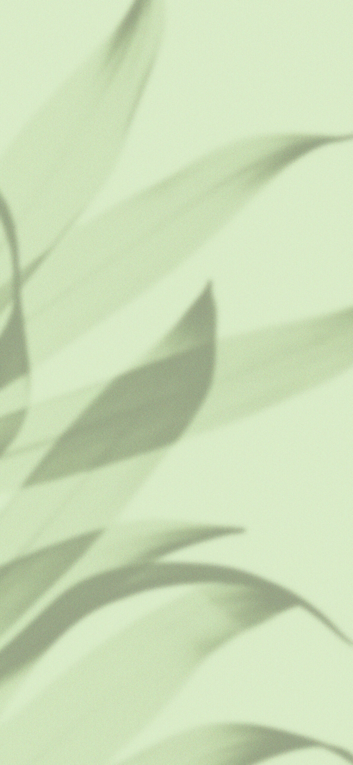 1183x2560  latest Cyan iPhone 8 HD обои - ilikewallpaper