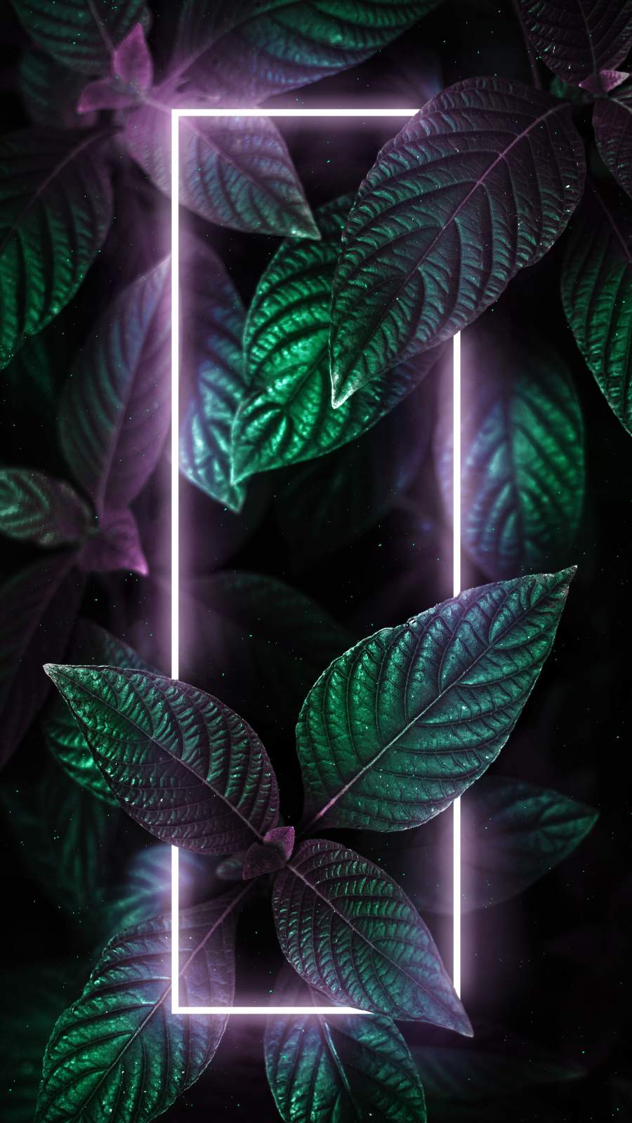 900x1600   Wallpaper Id: 323527 / Abstract Green Phone обои, 1440x2880 бесплатно скачать 
