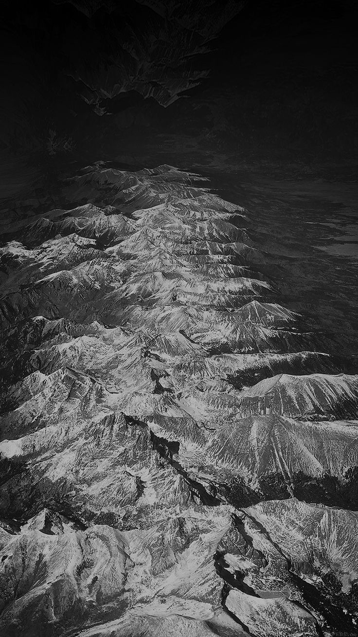 736x1309  tom Clancys: Обои дивизии 2K Quad HD ID: 497 