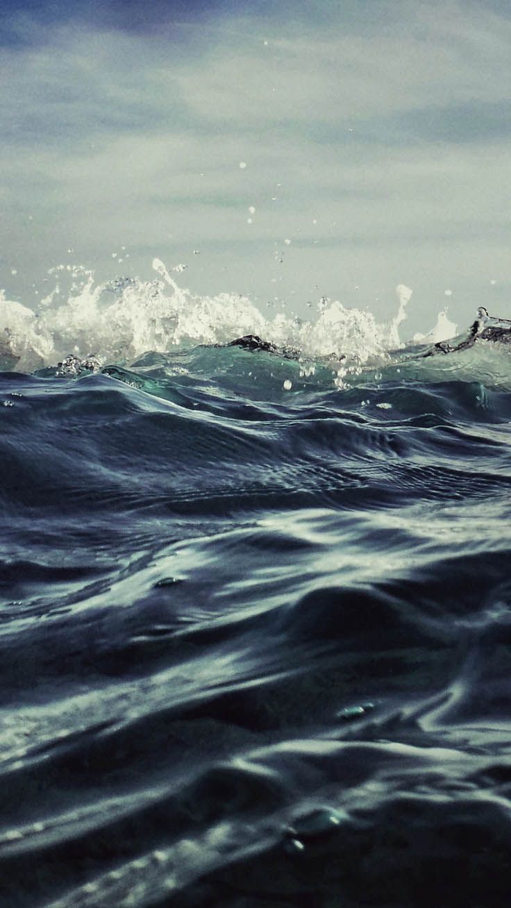 736x1308  iphone xr Обои: бесплатно HD скачать [500+ HQ] | Unsplash