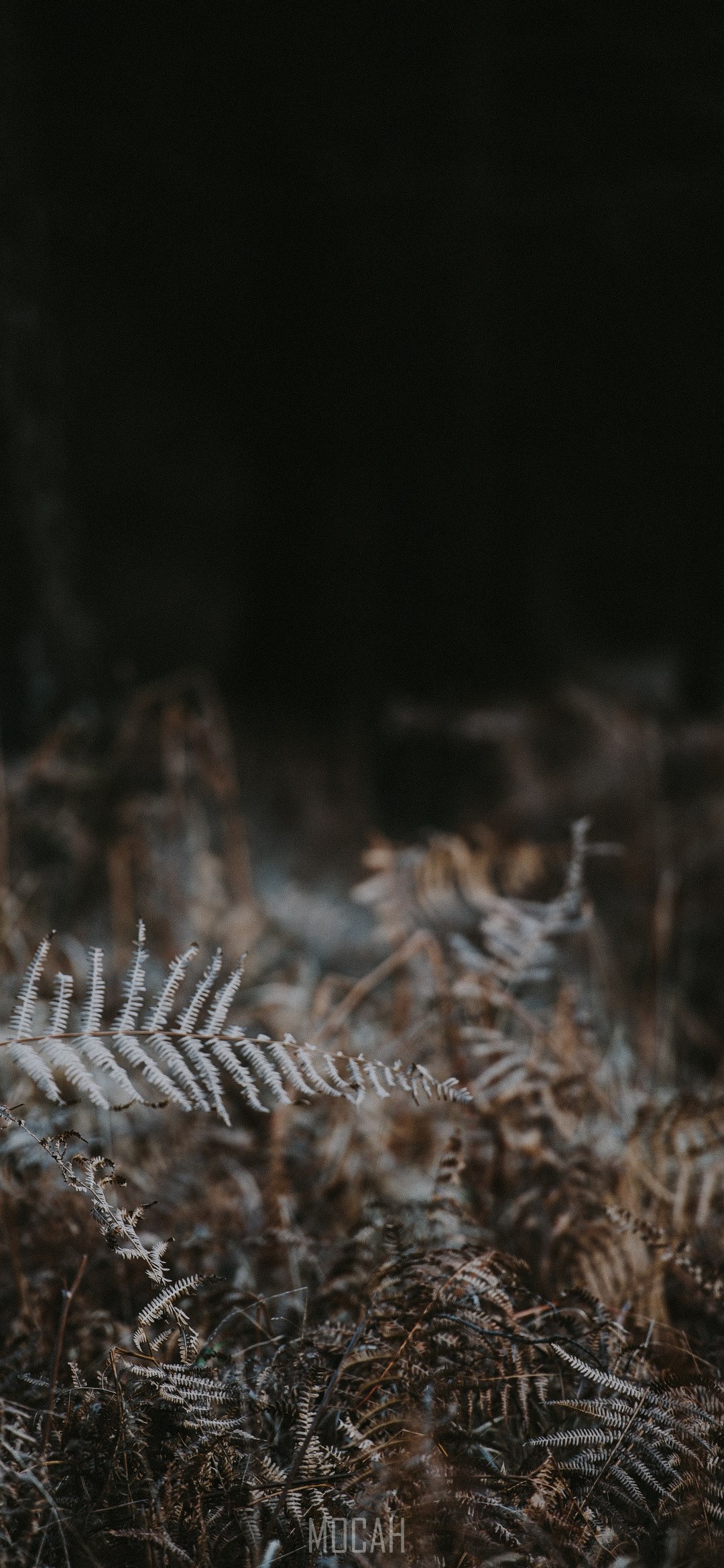 1080x2340  Superman Vintage, Brass, Copper, Mency, Manly, Metal, Strong, Valor, Wood, HD Телефон Обои | Peakpx 