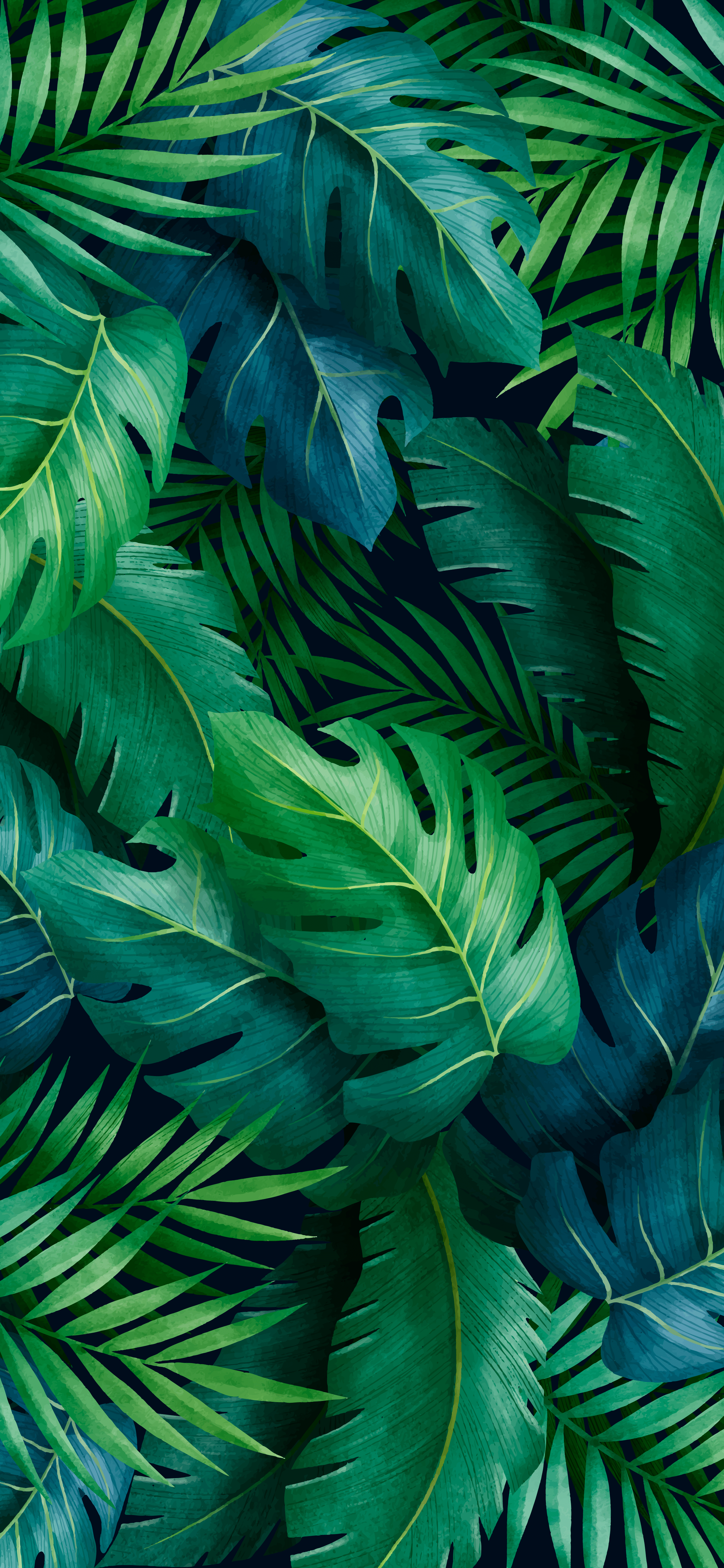 2410x5218  palm Tree Leaves Wallpapers - обои пещера 