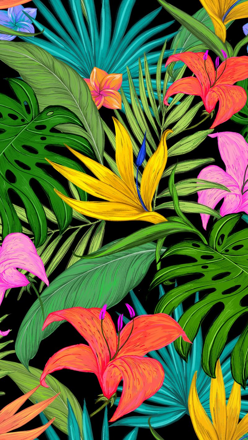 800x1420  Palm Leaf Wallpapers - обои пещера 
