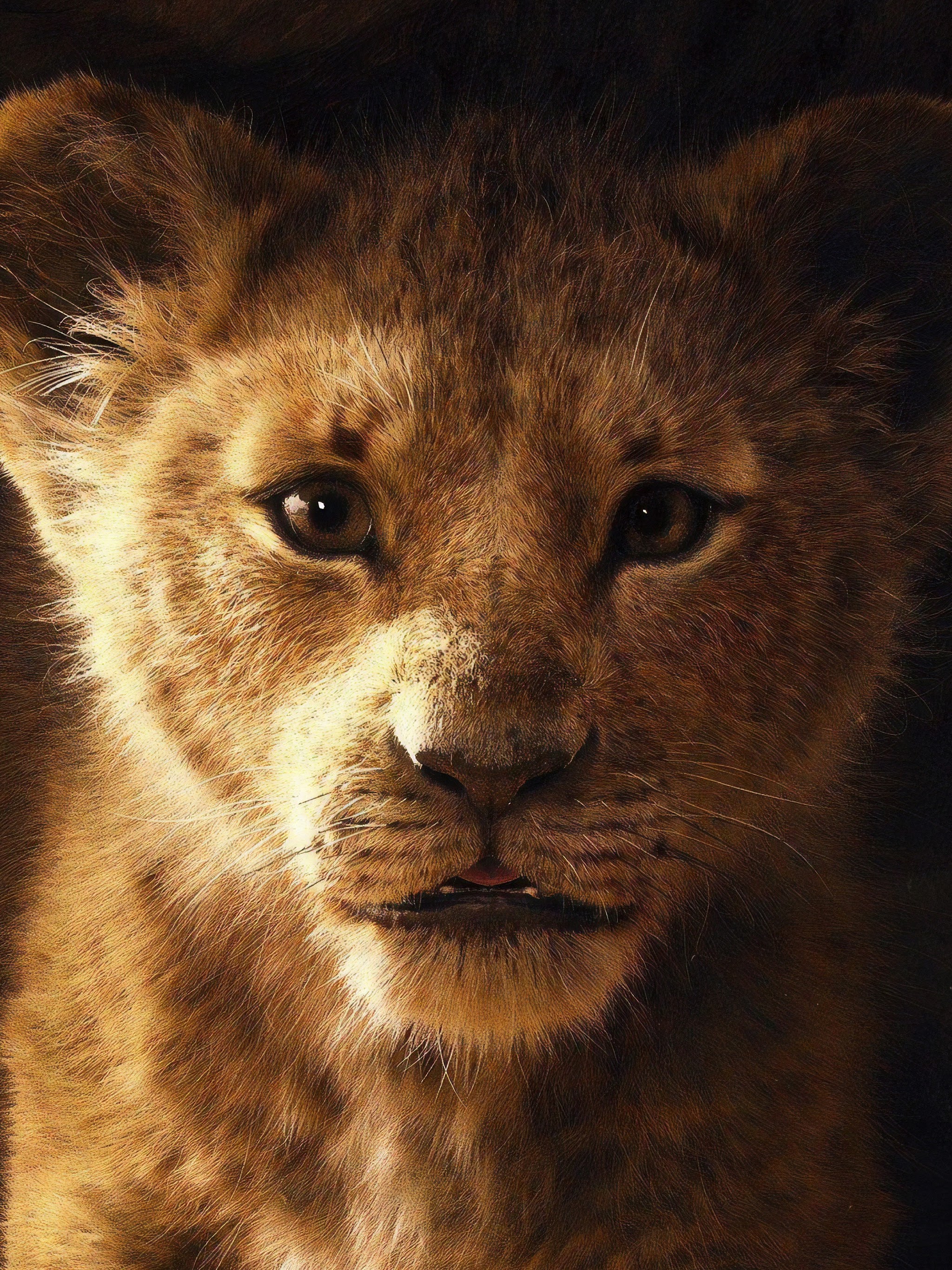 2048x2732  lion King 2, вы можете найти остальное на моем веб -сайте - | Льв король картинки, рисунки короля льва, фильм Льва Кинга 