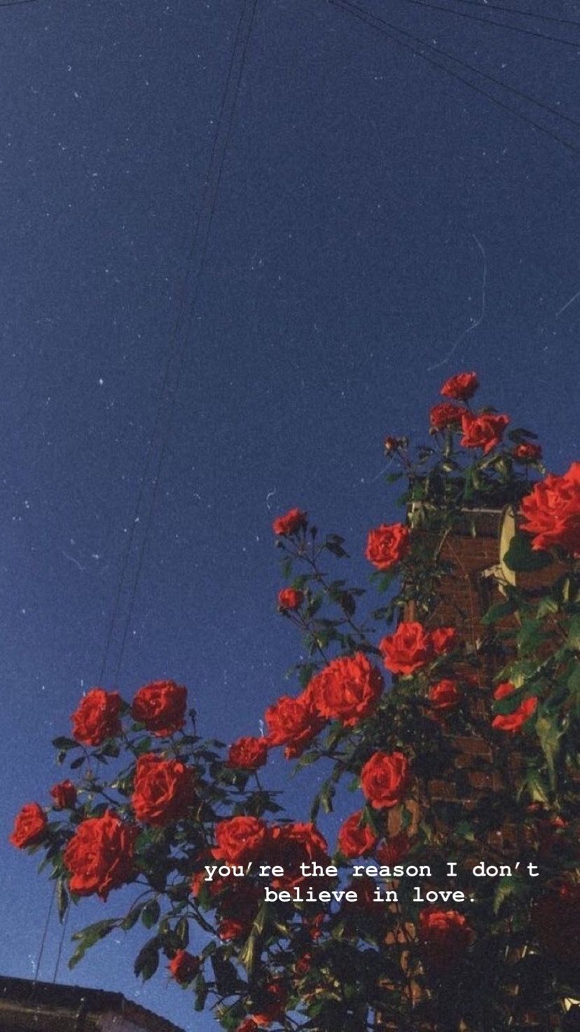 828x1472  girl, Black, Girl, Night, Pink, Sadness, Well, HD Телефон Обои | Peakpx