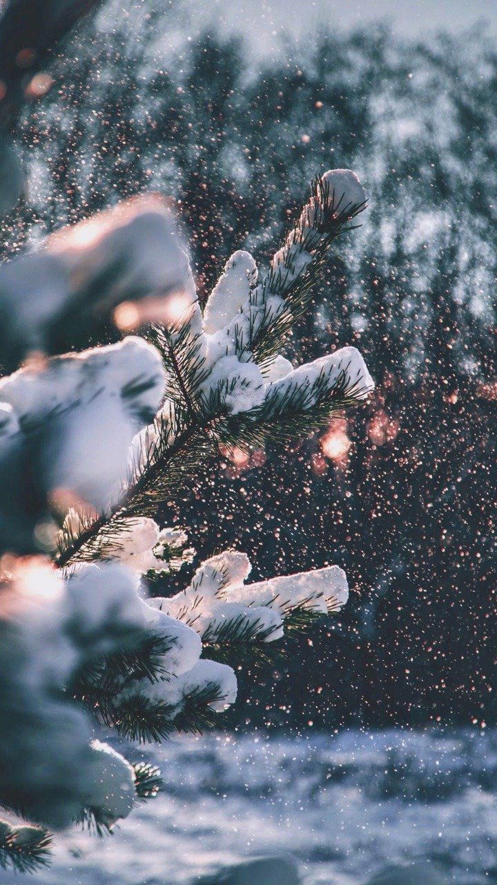 720x1280 cozy Winter Tumblr Walpapers - Top бесплатно уютные зимние фоны Tumblr - Wallpaperaccess