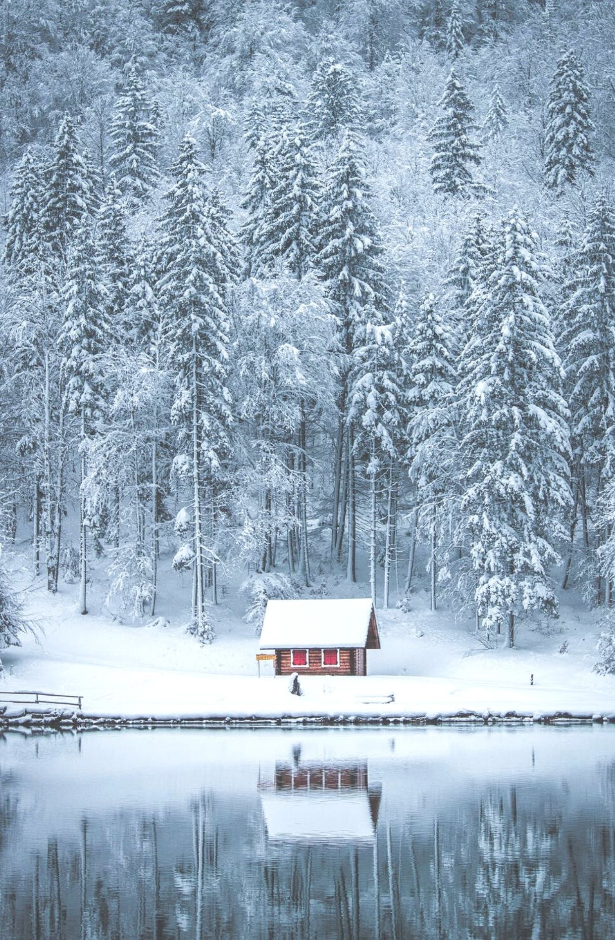 1242x1900 cozy Winter Photos, скачать бесплатные уютные зимние фотографии u0026 HD Images