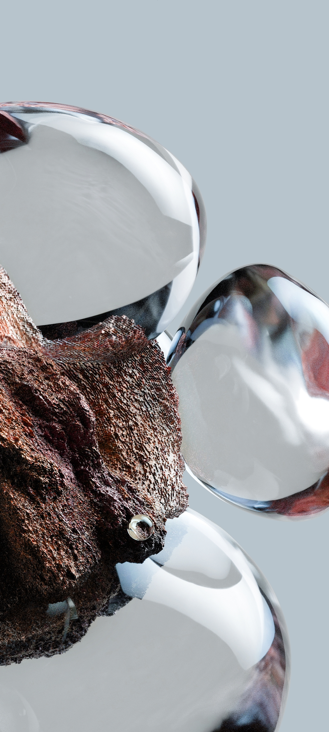 1080x2400  xiaomi 12 \ U0026 12 Pro Wallpapers в 2022 году | Телефонные обои изображения, QHD обои, обои для iPhone 