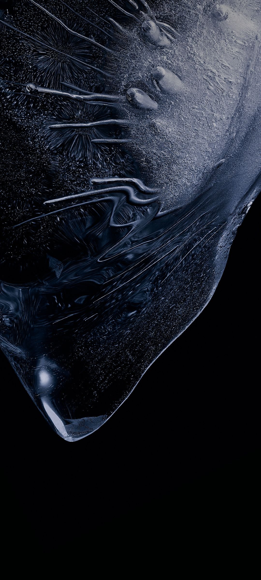 1080x2400  miui 12 обои (ytechb Exclusive) | Оригинальные обои для iPhone, обои Xiaomi, обои Samsung 