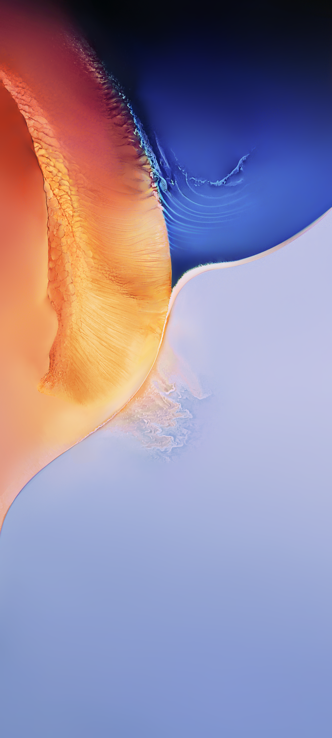 1080x2400  xiaomi Mi 11 Pro Walpaper Обои на обои alpaperdog