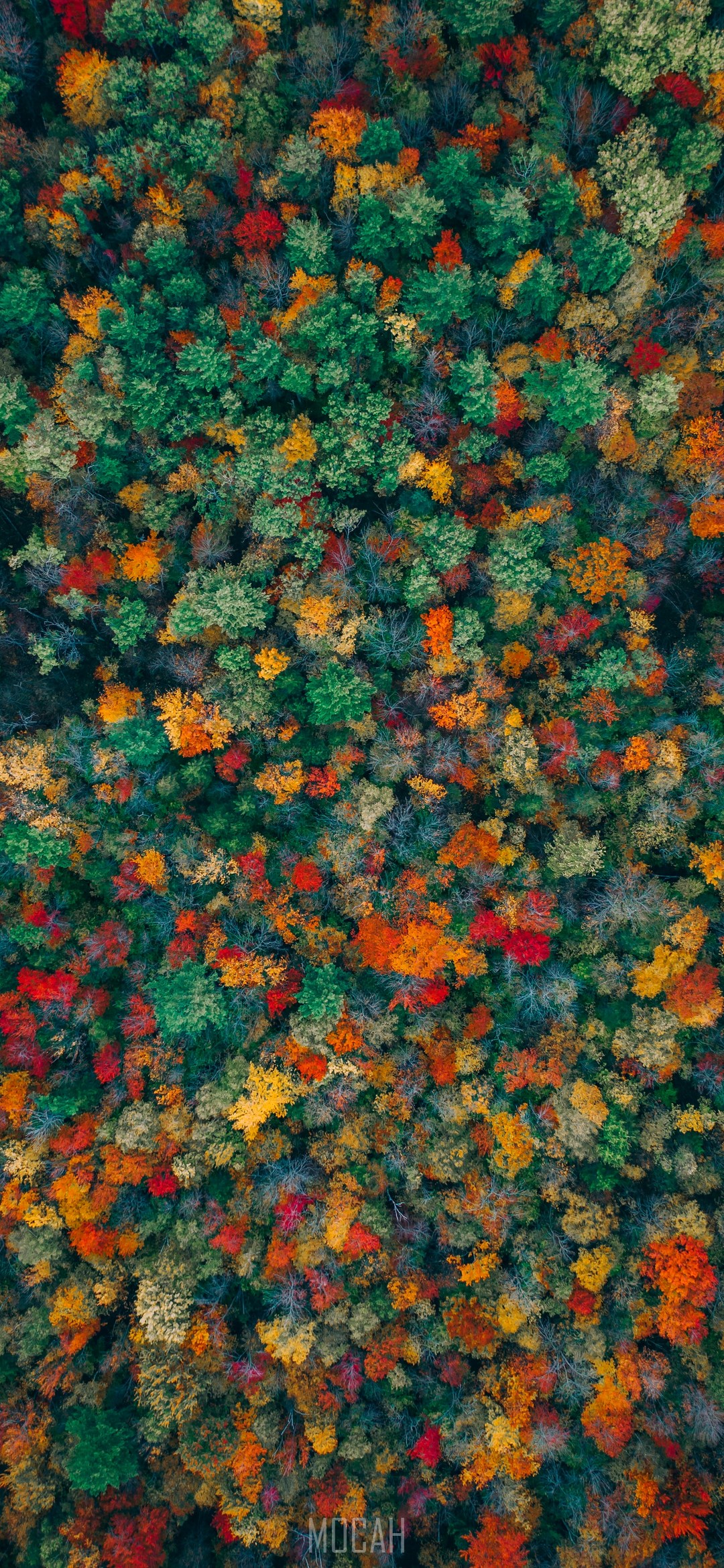 1080x2340   Тест: Xiaomi Redmi Note 11 Pro 5G ( 128 ГБ, 6 ГБ ОЗУ) | Stiftung warentest