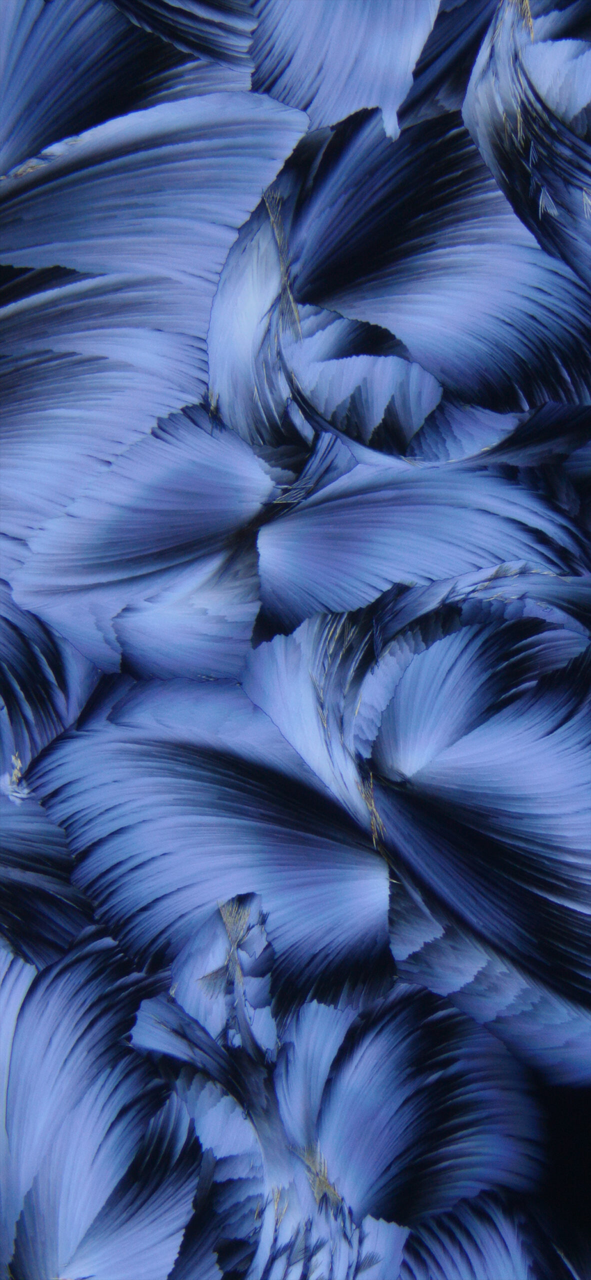 1182x2560  xiaomi 12S Ultra обои Apk For For Adroid