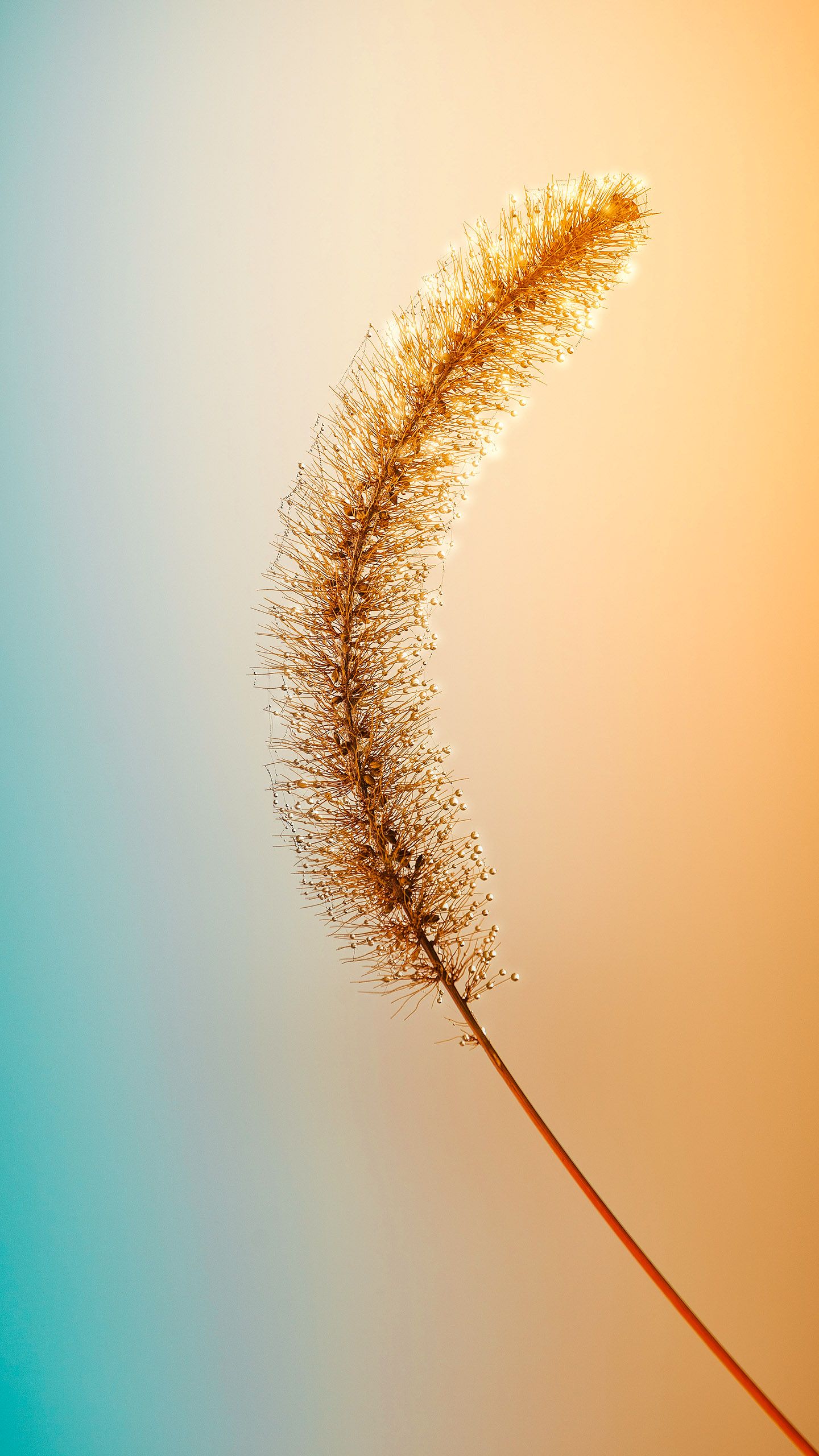 1440x2560  redmi Примечание 11 обои - верхняя бесплатная примечание Redmi 11 фоны - WalpaperaccessXiaomi Redmi Note 7s, Space, Storm, HD Телефон Обои | PEACKPX