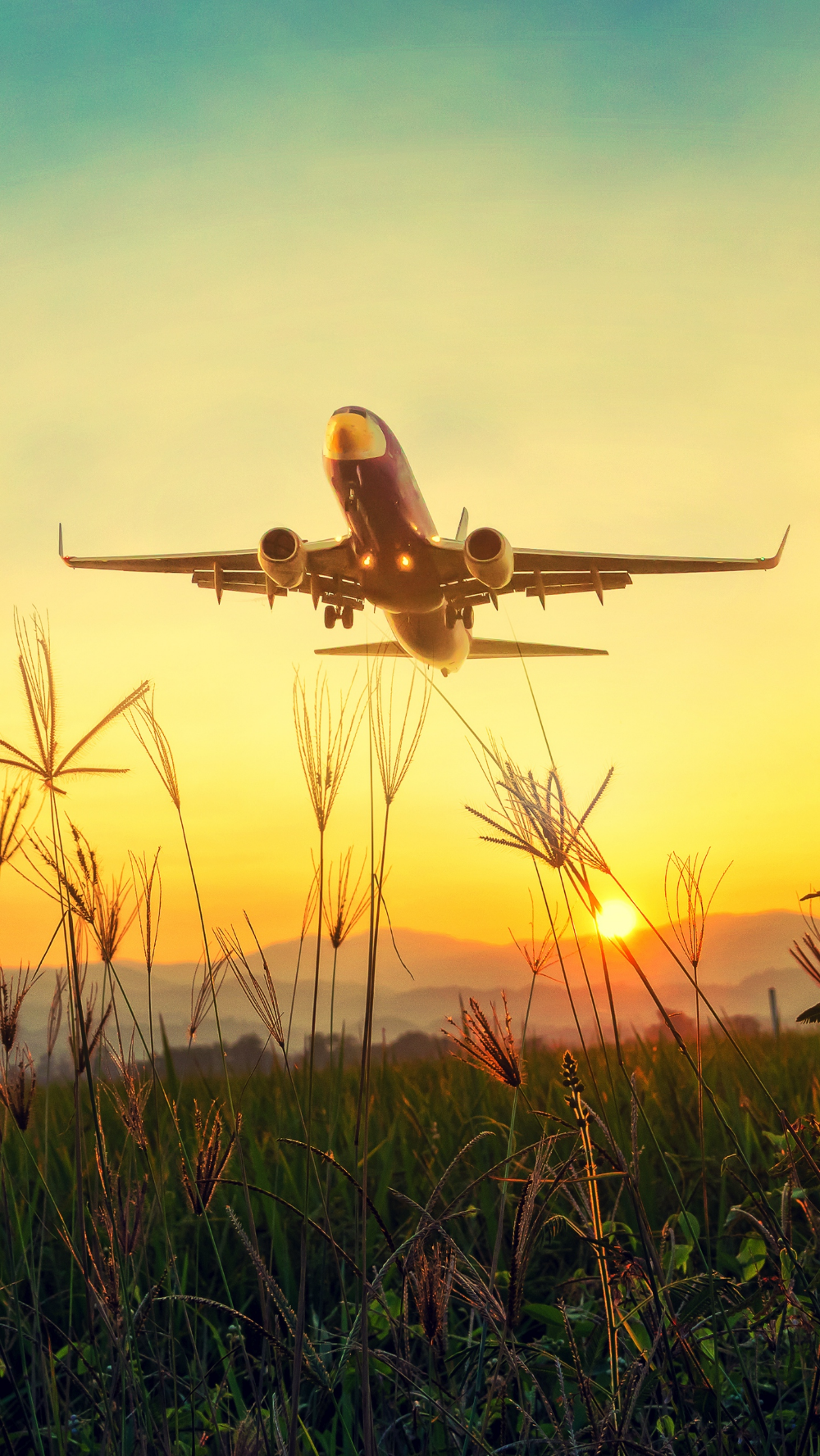 1000x1777   Скачать обои 1440x2560 самолет трава взлет небо закат рассвет qhd samsung galaxy s6 s7 edge note lg… в 2020 году | Обои Samsung galaxy mini Samsung galaxy s5