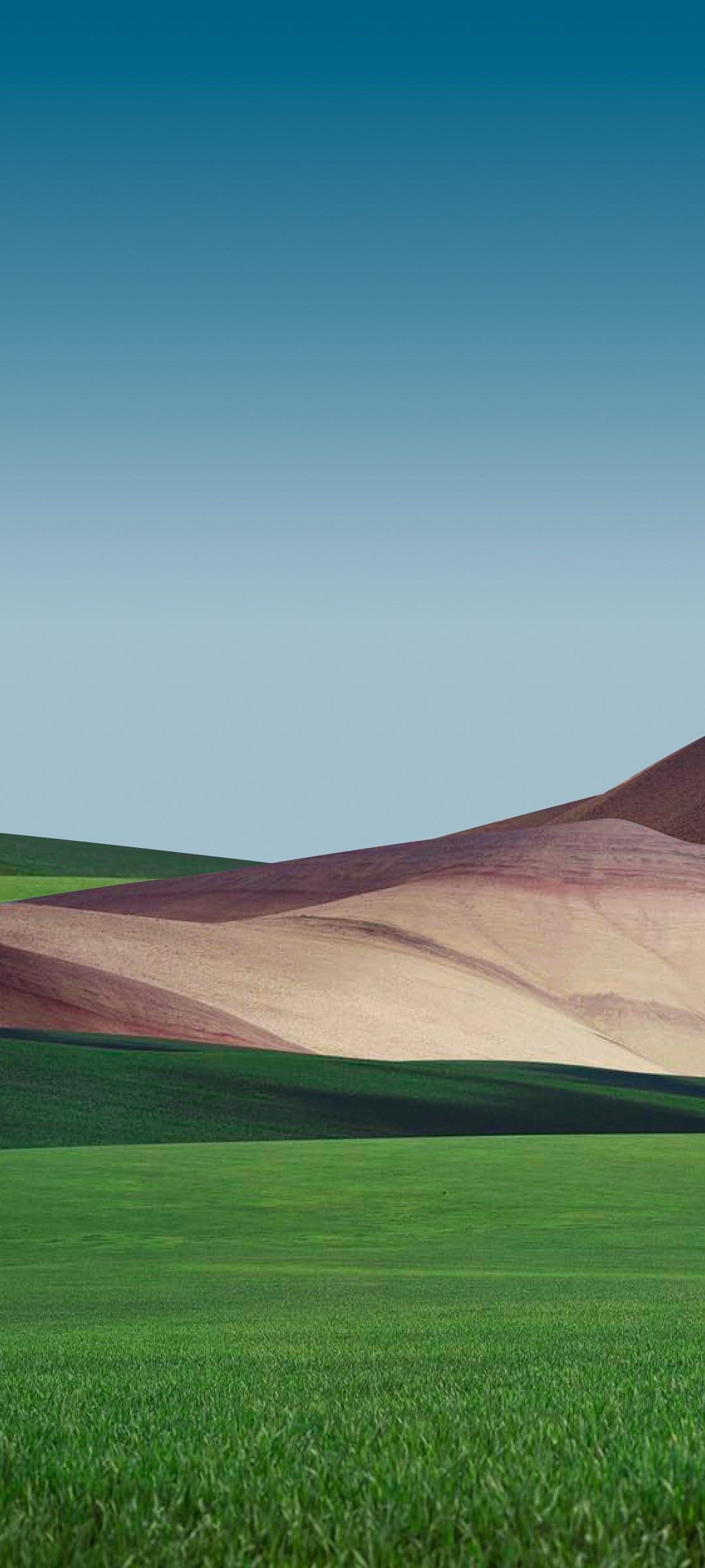 1080x2400  xiaomi 12 Pro Wallpapers - Top Free Xiaomi 12 Pro Facks - WalpaperAccess