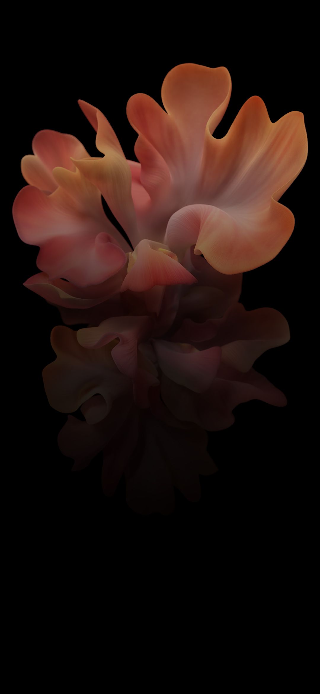 1080x2340  Samsung Galaxy Z Flip - Википедия 