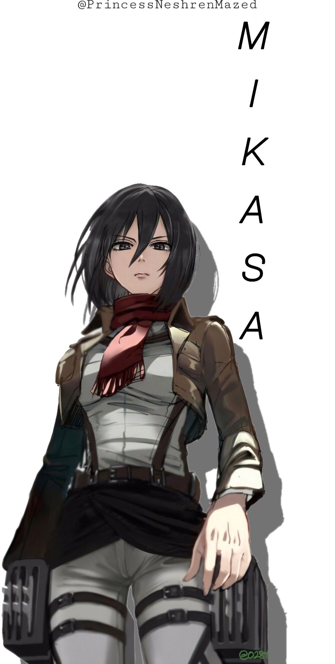 1080x2141  mikasa iPhone обои - обои пещера 