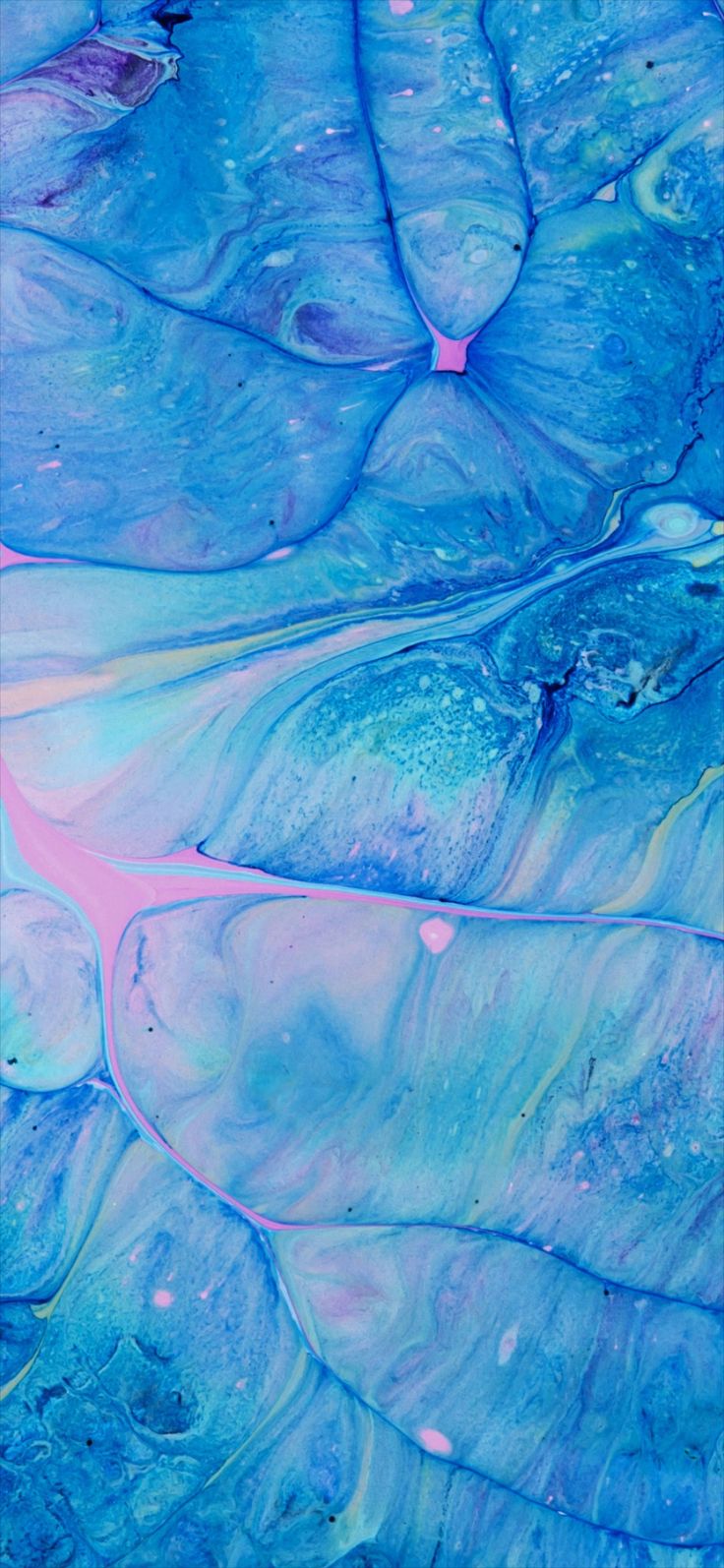 736x1594  realme, wallape, wallapeccess