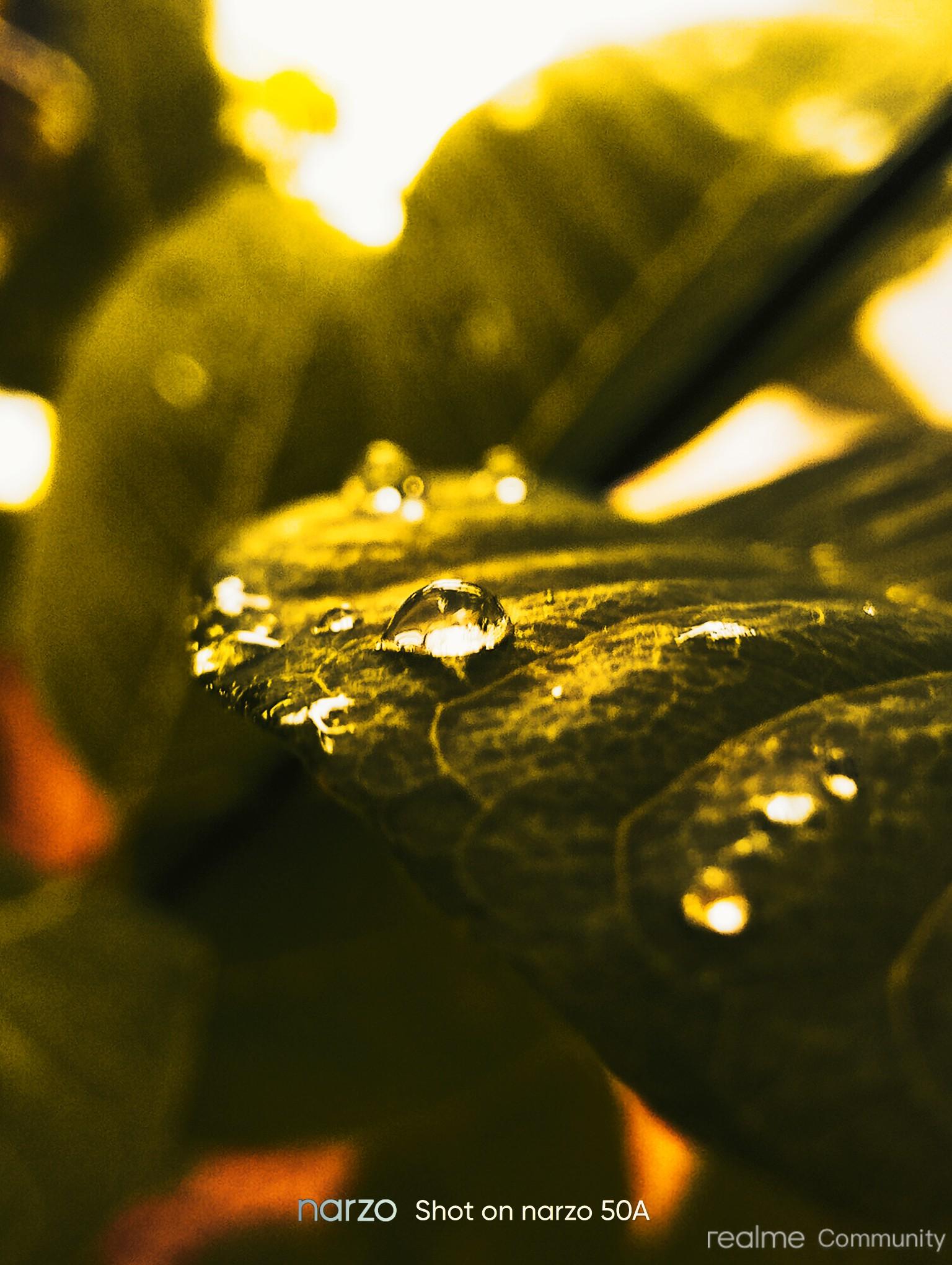 1536x2040  Realme Narzo 50 64 ГБ (скорость черная, 4 ГБ ОЗУ) \ U200BONLINE В лучших ценах в Индии | Shop.gadgetsnow 