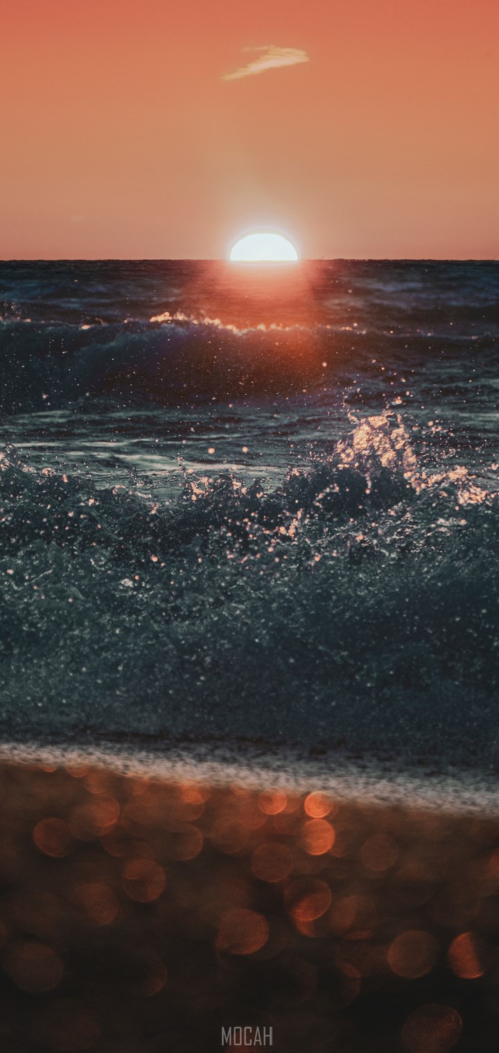 720x1520   289472 Rock, Formation, Geology, Tree, Design, Oppo A3S обои HD Free DowWallpapers HD - Oppo A7x, A3s, Oppo A7 APK for Android Download