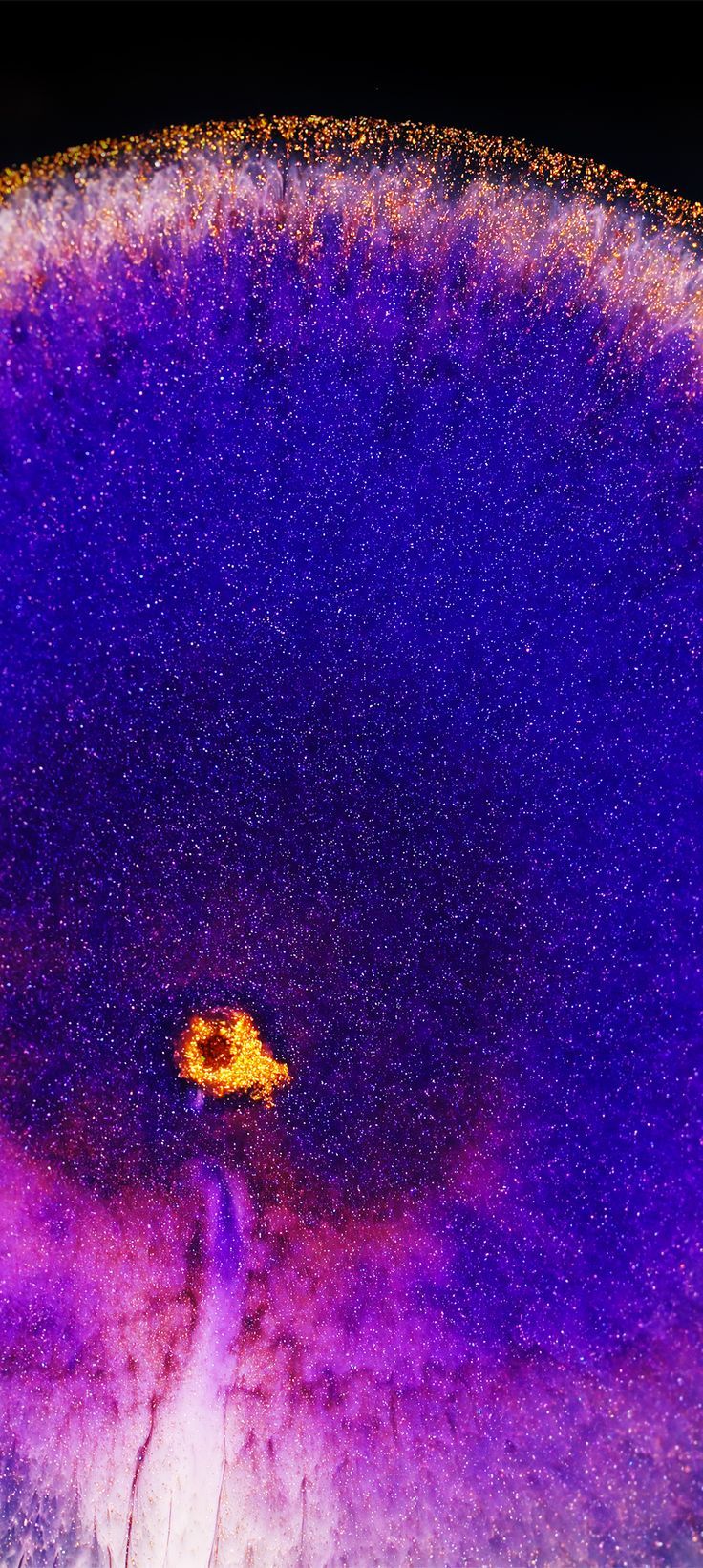 736x1643  Oppo Find X Stock Wallpapers HD