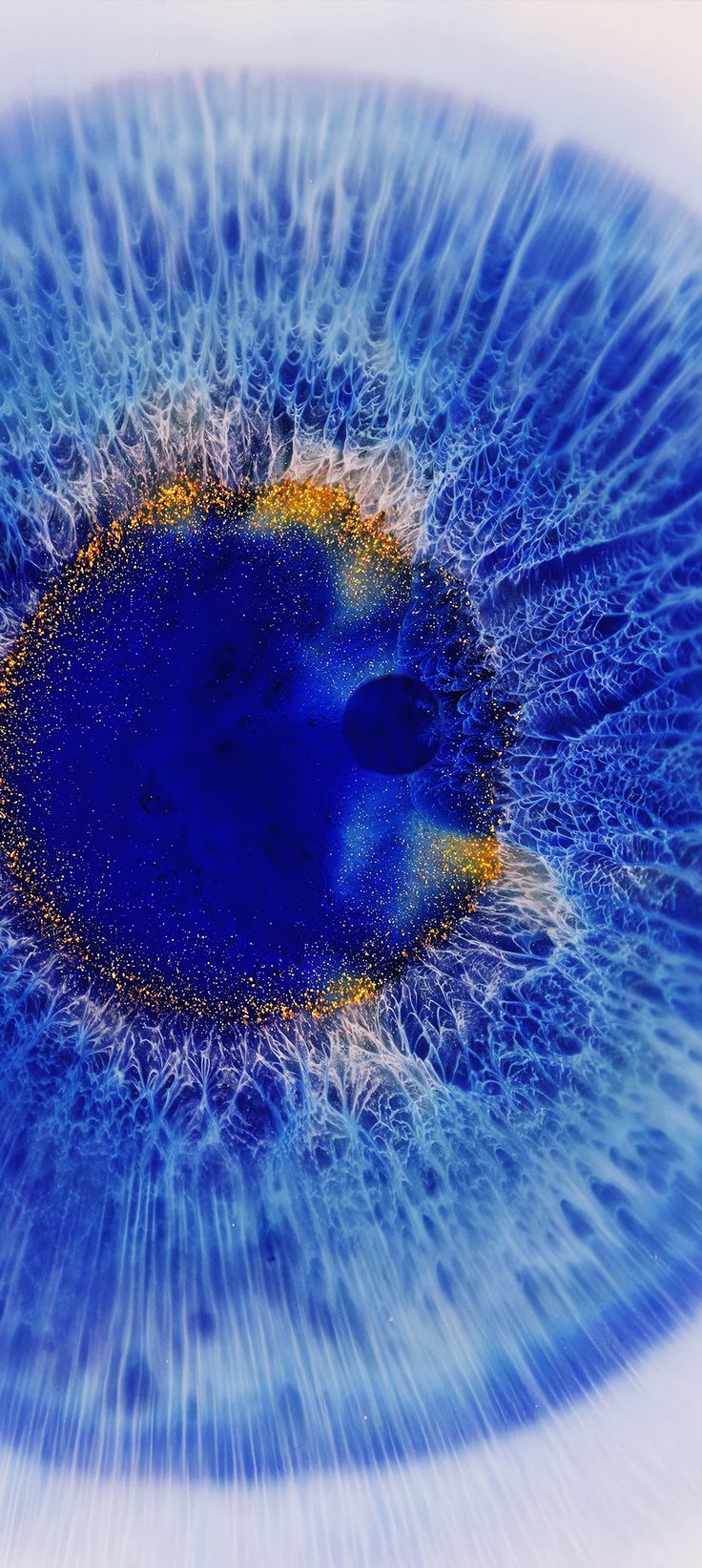 736x1643  oppo Найти x обои - верхняя бесплатная оппорация x Фоны - Walpaperaccess