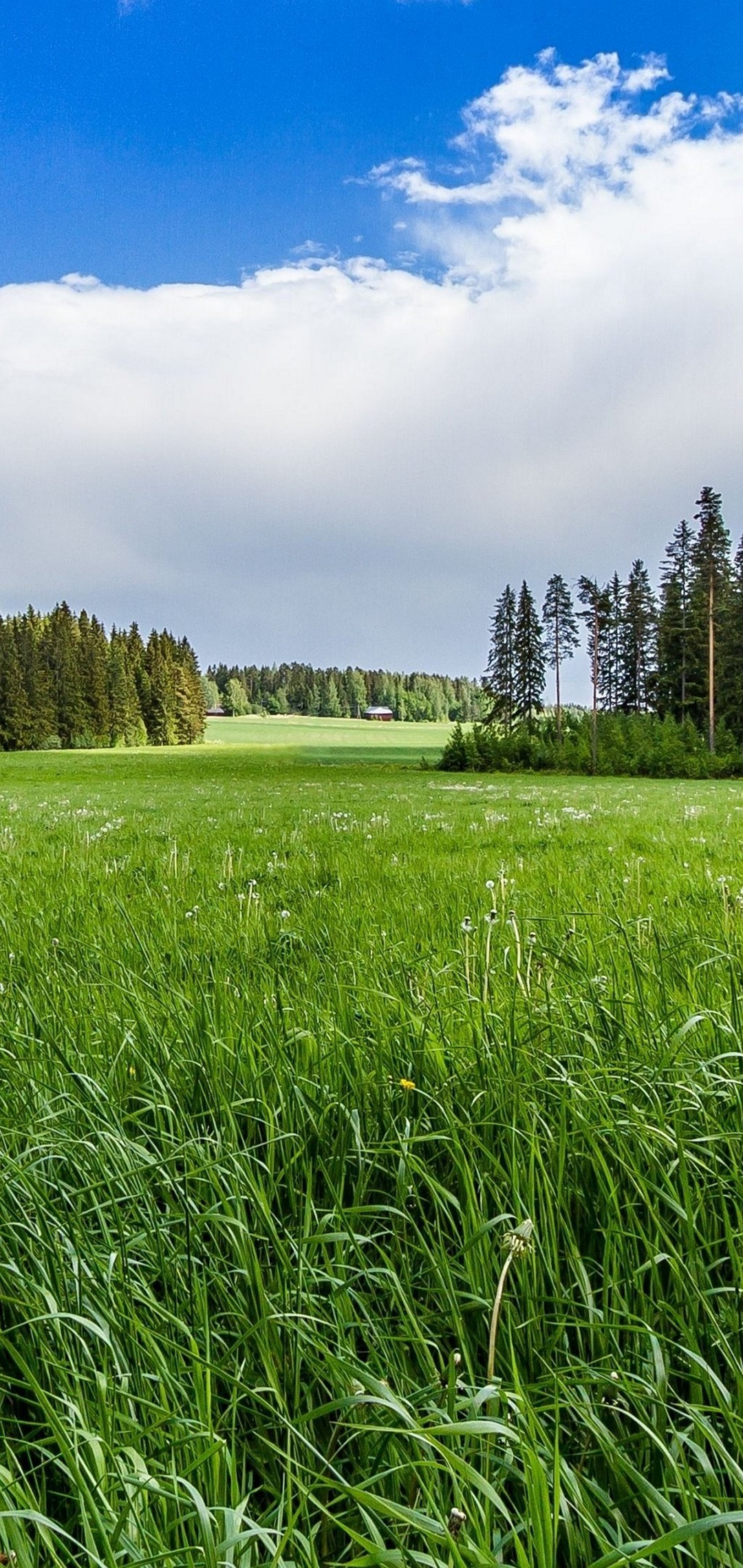 1080x2280  oppo F7 обои - обои пещера Волны, HD Телефон Обои | PEACKPX