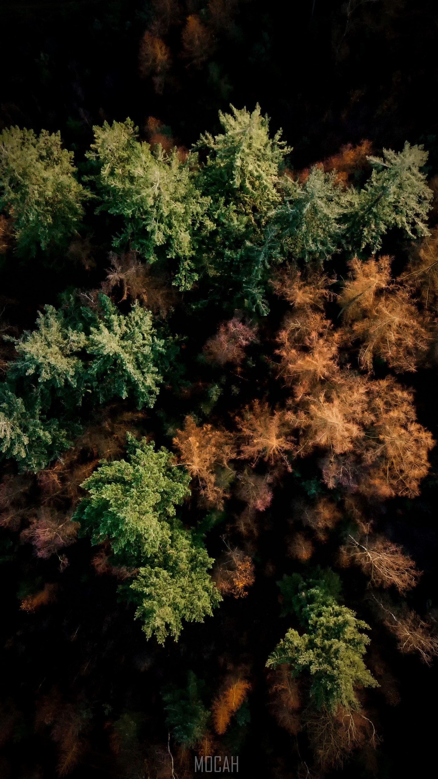 1440x2560  Page 2 | Samsung A5 HD обои | Pxfuel