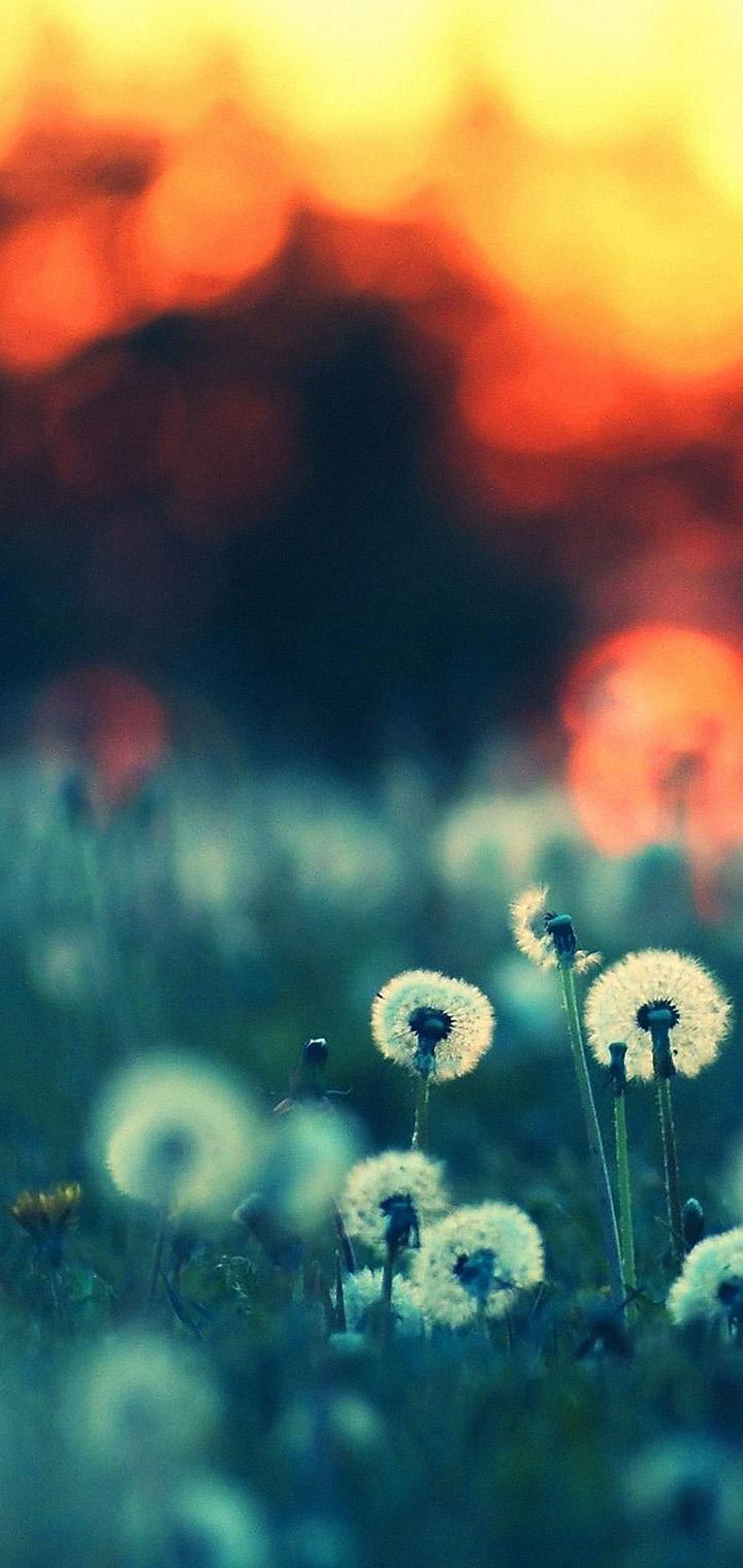 720x1520  A54 HD Wallpapers | Pxfuel