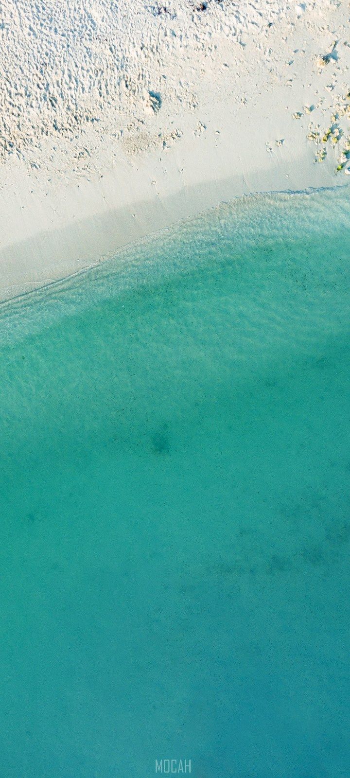 720x1600   Wallpaper для Oppo A53 Pour Android Télécharger 