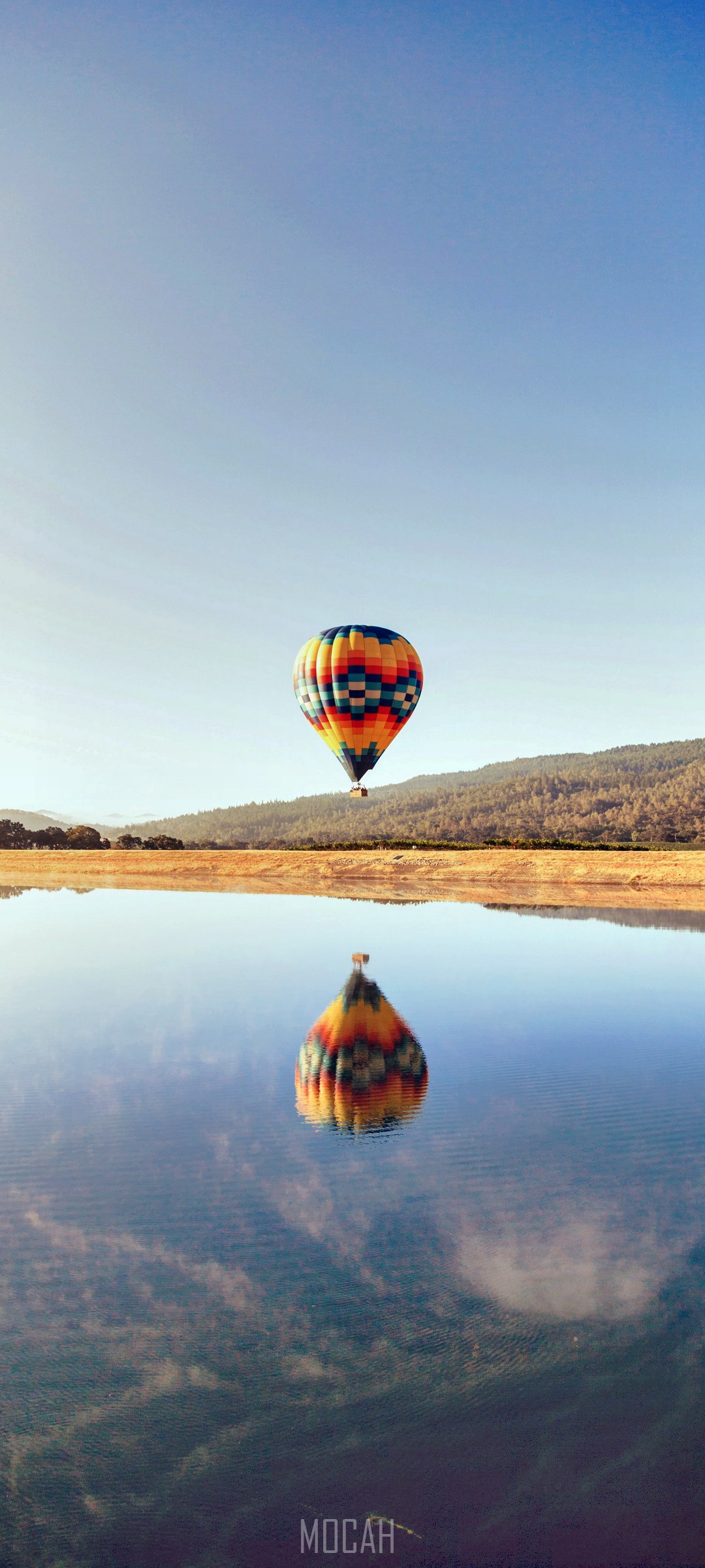 1080x2400  266151 Flying Green Blue и Sky HD, Oppo A91 обои 1080p, 1080x2400 - Редкая галерея HD обои 