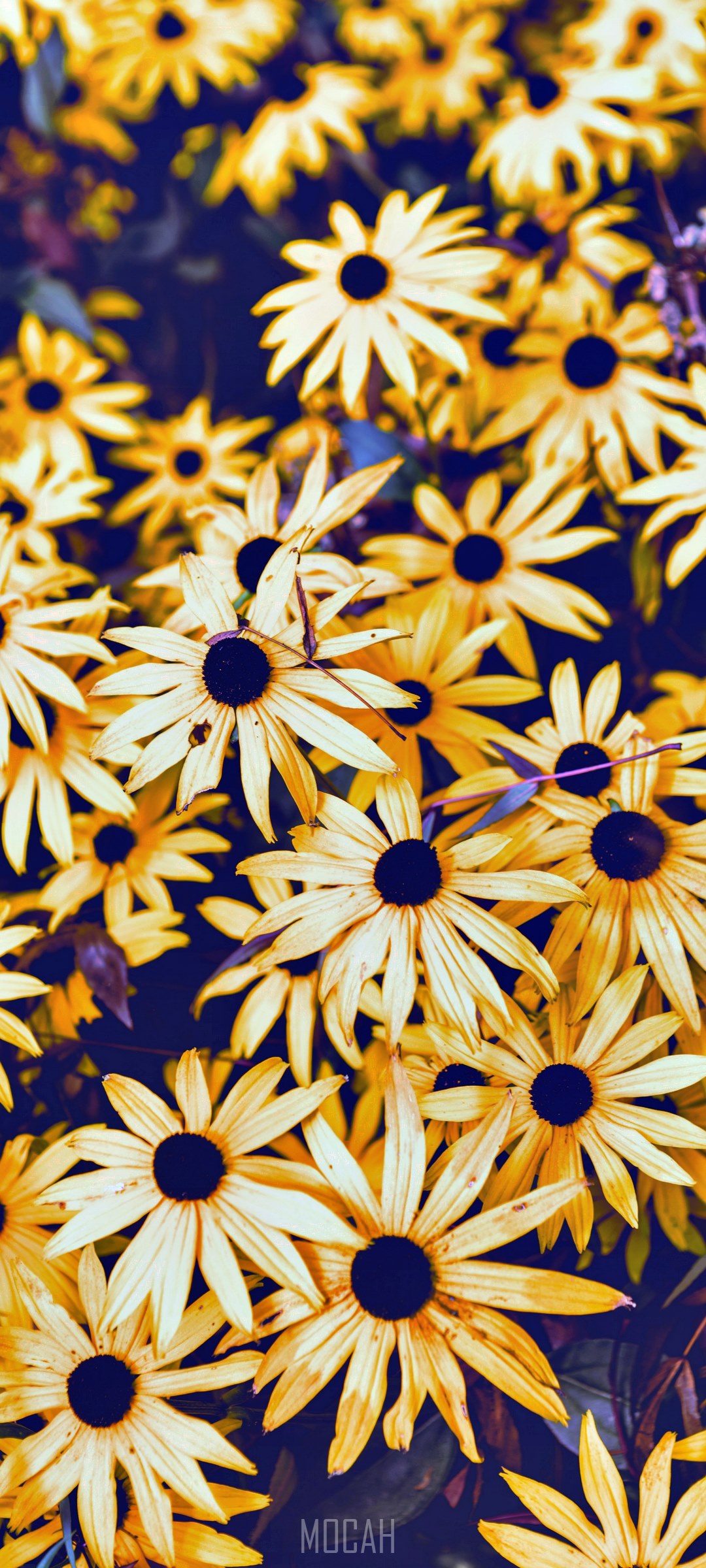 1080x2400  OPPO A92S HD Обои | PXFEULE