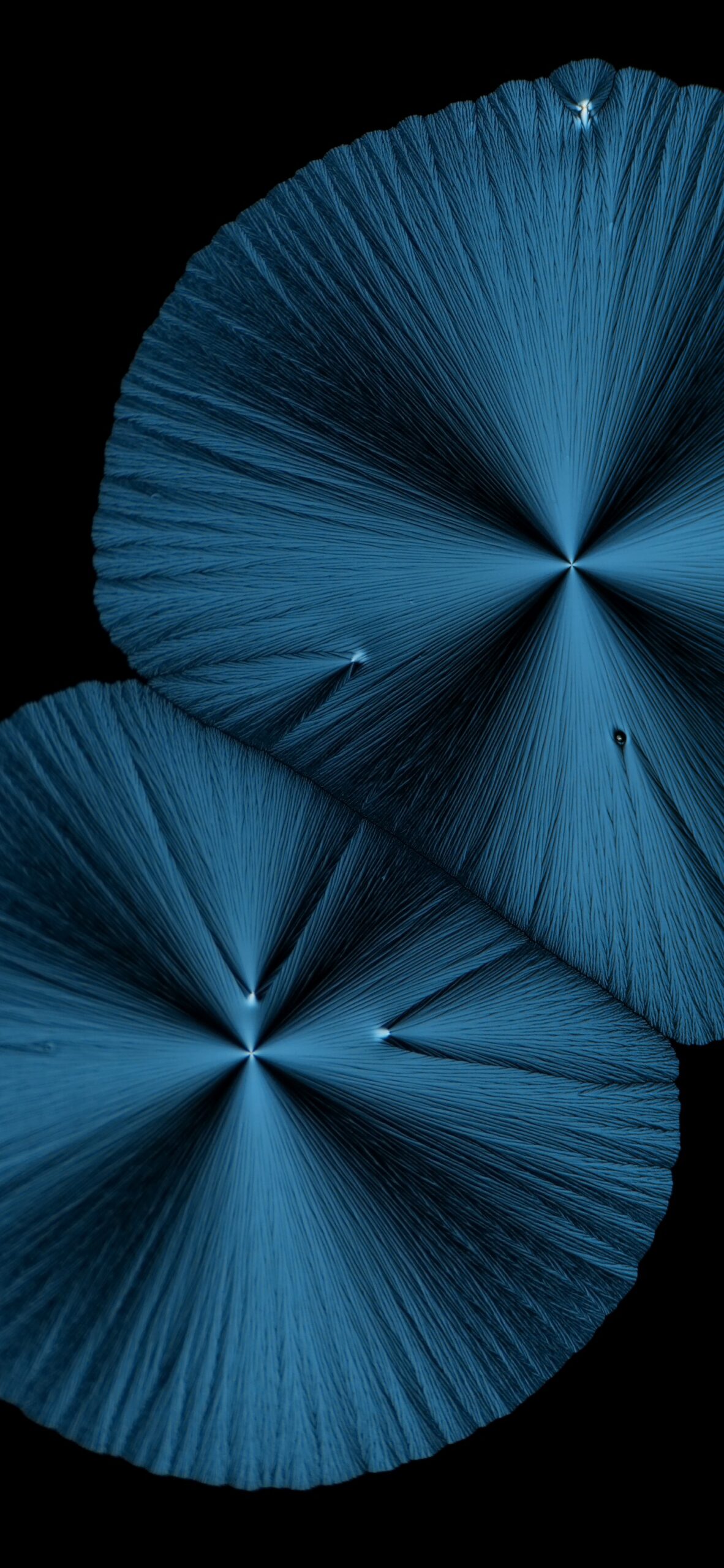 1182x2560  miui 13 обоев | Обои xiaomi, обои для iPhone, зима, обои OnePlus