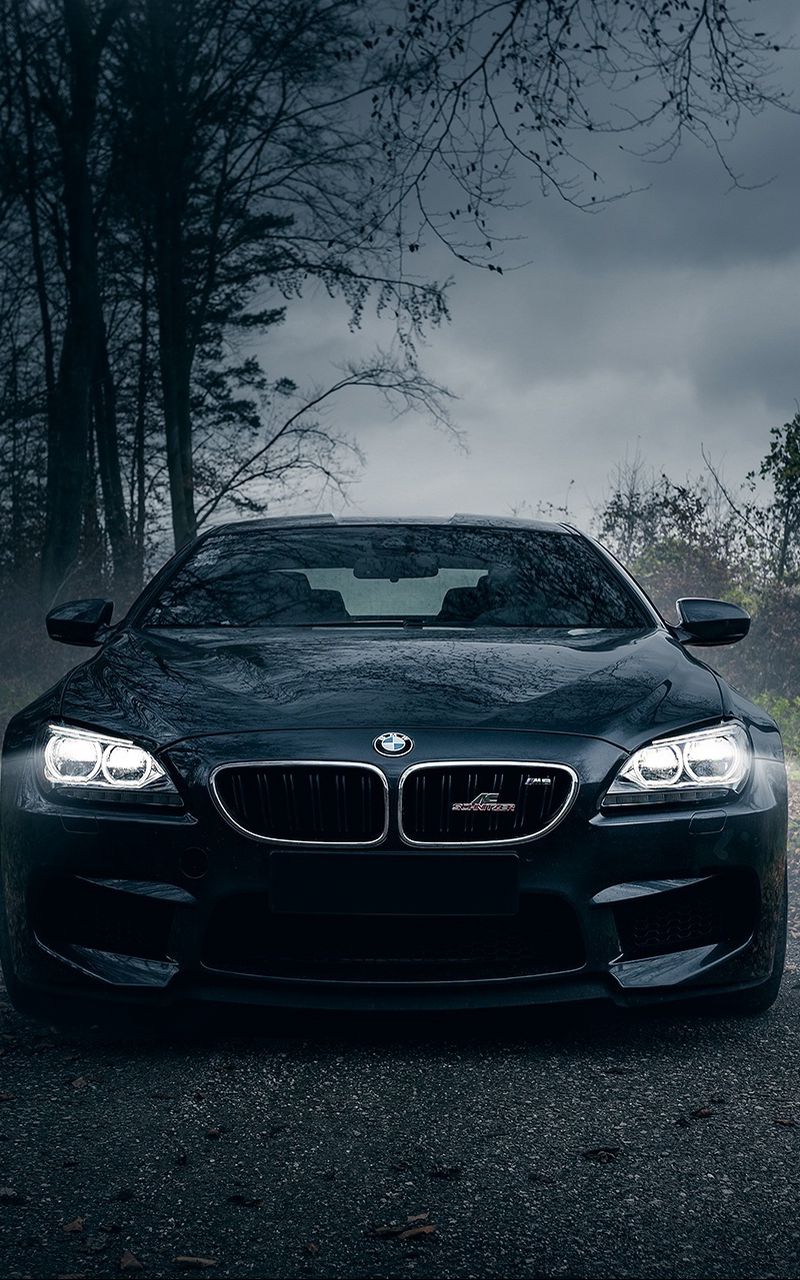 800x1280  download обои 800x1280 BMW M6, Black, Forest, Fog, передний бампер Samsung Galaxy Note GT-N7000, Meizu MX2 HD фоновая фон 