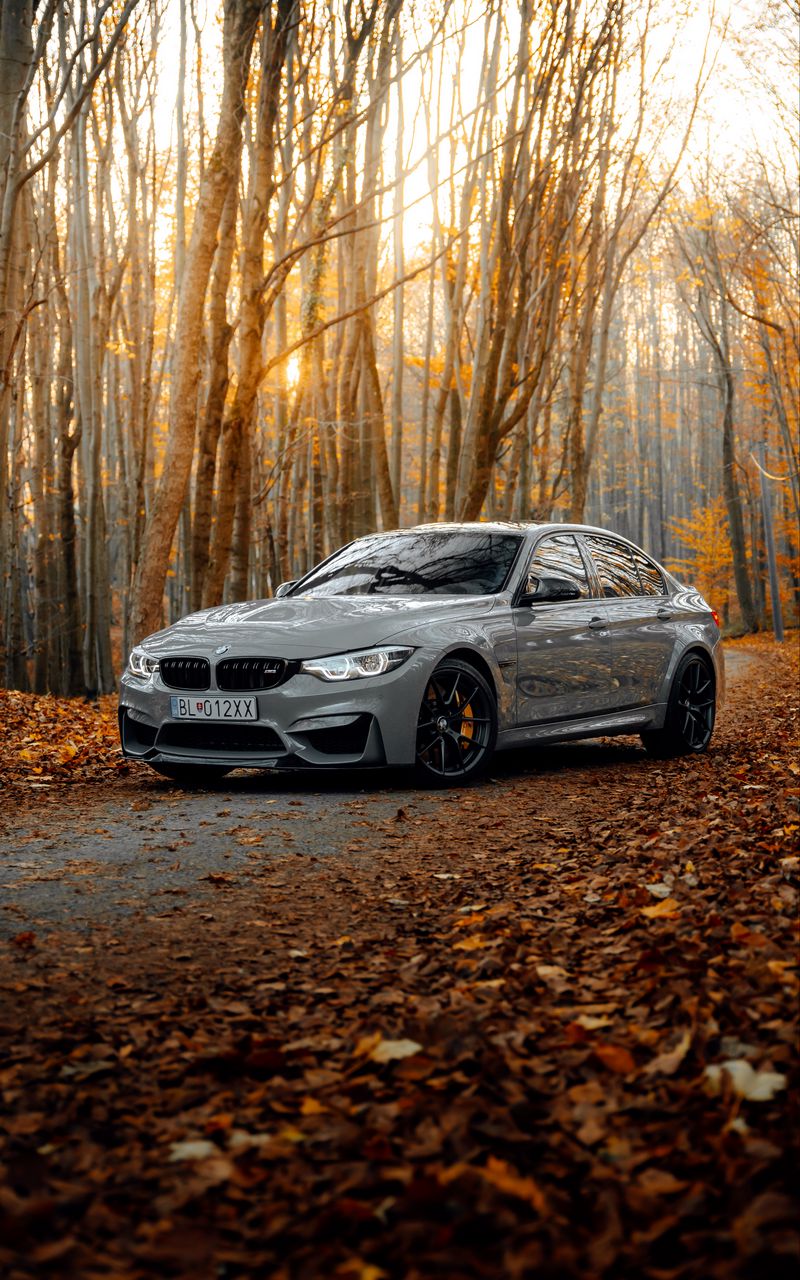 800x1280  BMW M3 Blue Walpapers - Top Бесплатный BMW M3 Blue Foans - WallpaperAccess