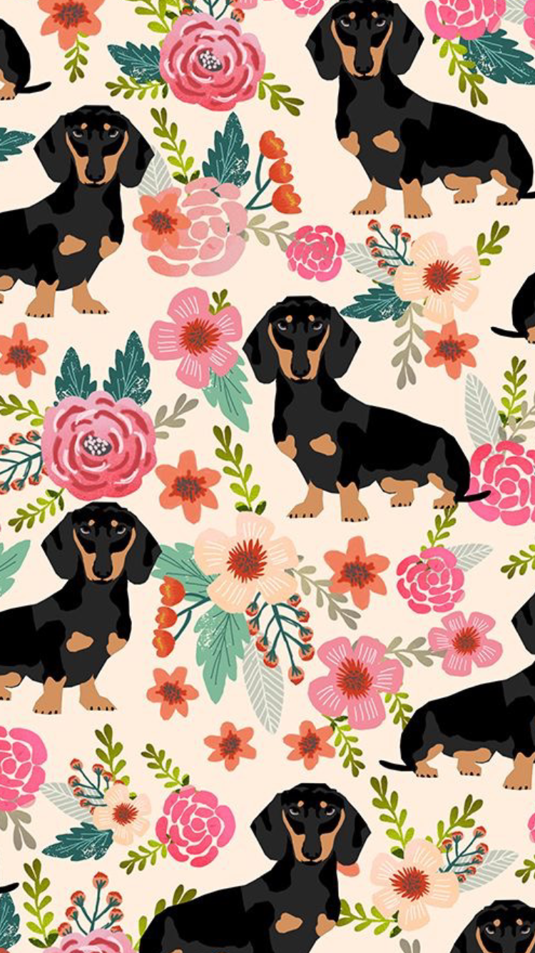 750x1334  Pin de Riannon Harper em ♡ Обои Собака обои Arte dachshund Arte para впечатления 