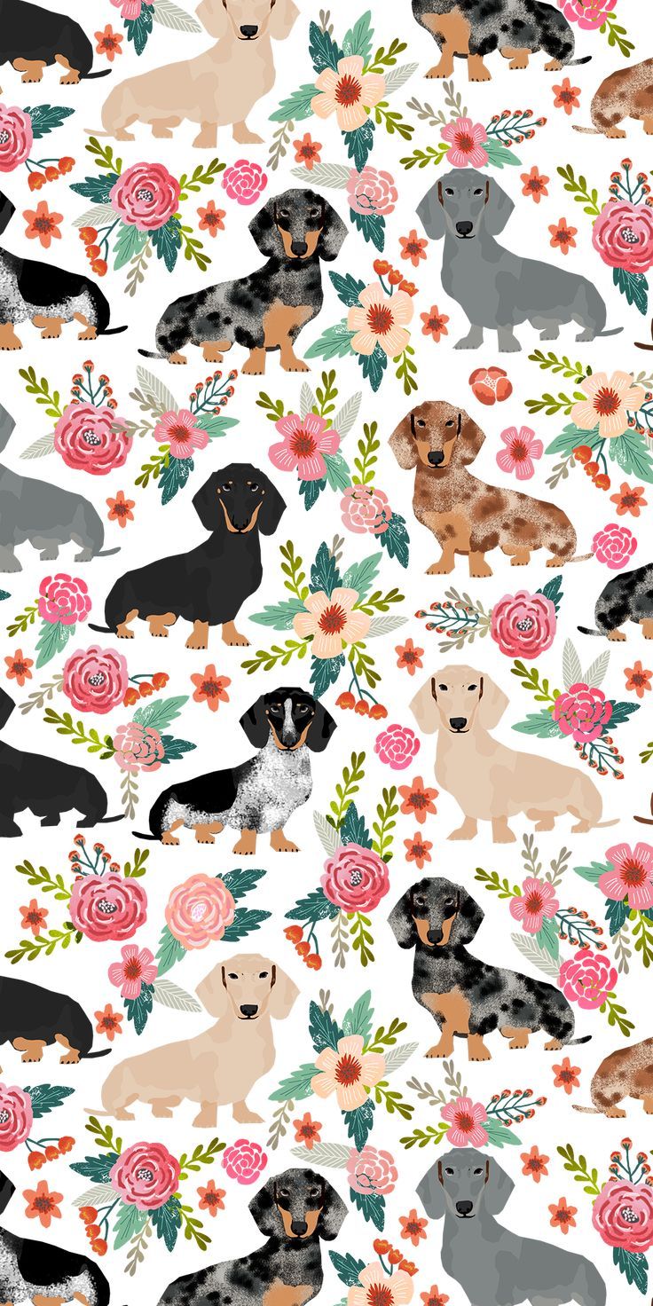 736x1472  Hunde #Blumen #Krone. #Casetify #iPhone #Art | Собака обои iphone обои iphone милые Симпатичные обои