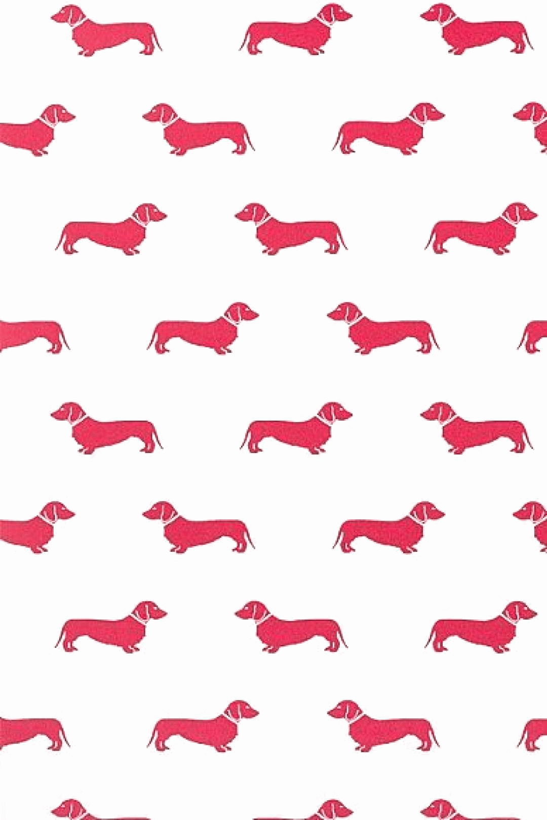 1080x1620   Такса Обои Фоны Фоны Таксы Фоны Фоновые обои таксы в 2020 году | Обои такса Рисунок таксы Красная такса