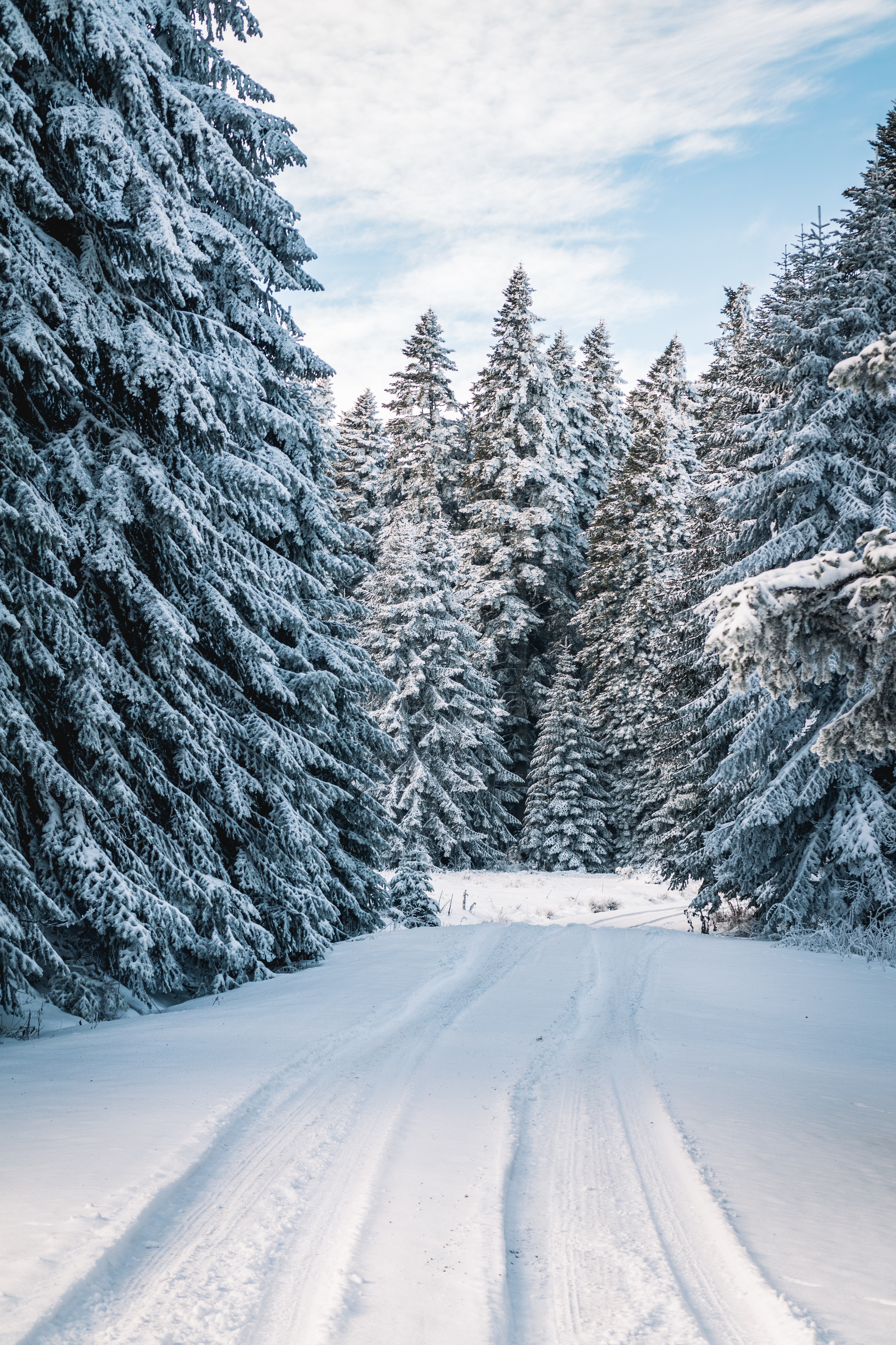 3648x5472 snow фоновые фотографии, скачать бесплатно снежный фон стоковой фотографии u0026 HD Images