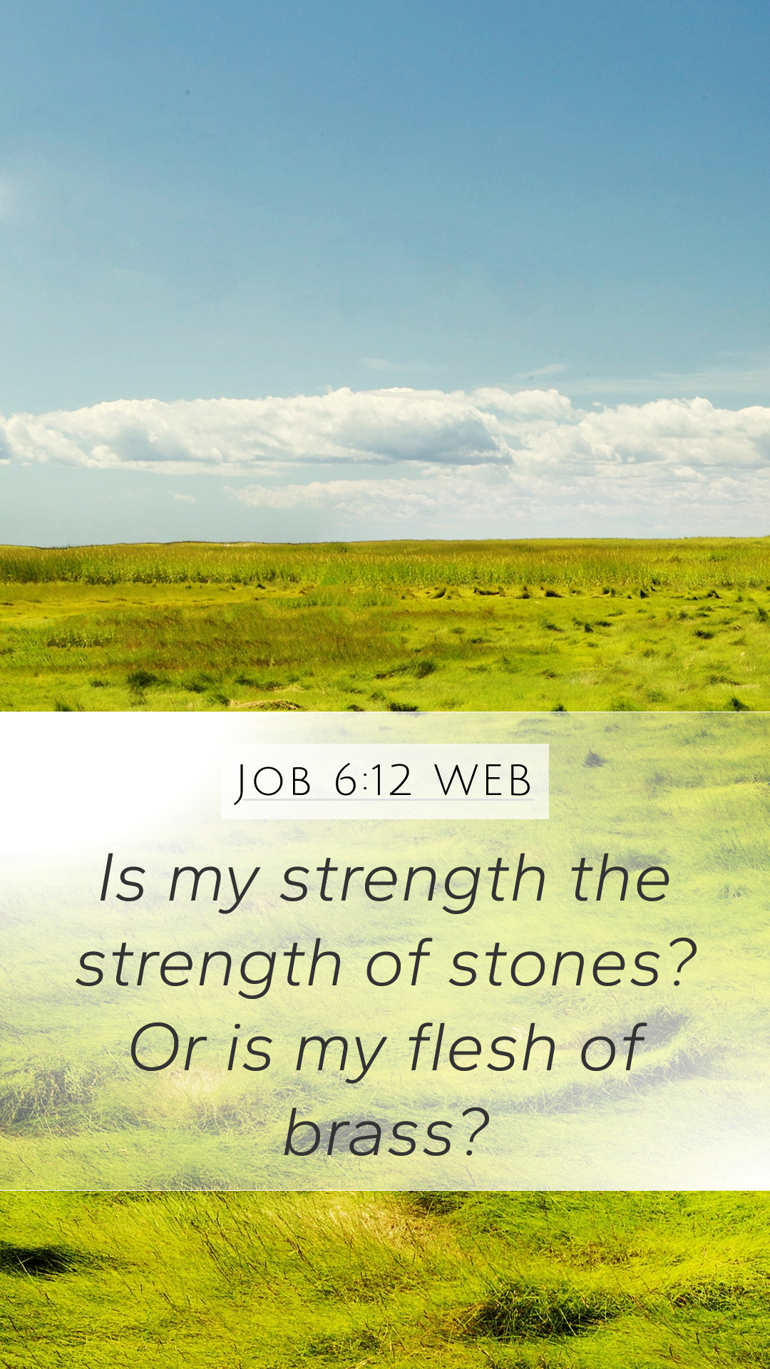 1080x1920  HD Бодибилдинг и фитнес -обои - CrossFit APK Pour Android Télécharger 