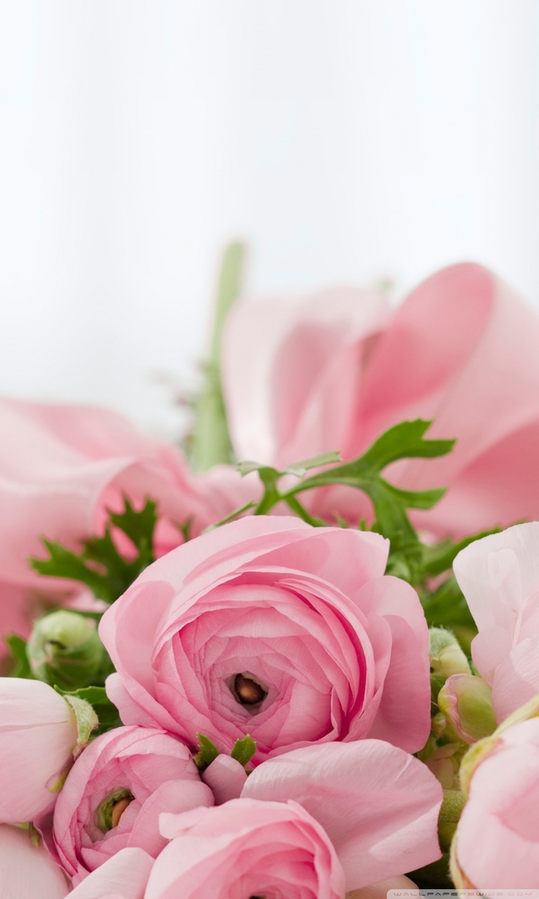 768x1280  dark Red Flowers Bouquet обои - [720x1600] 