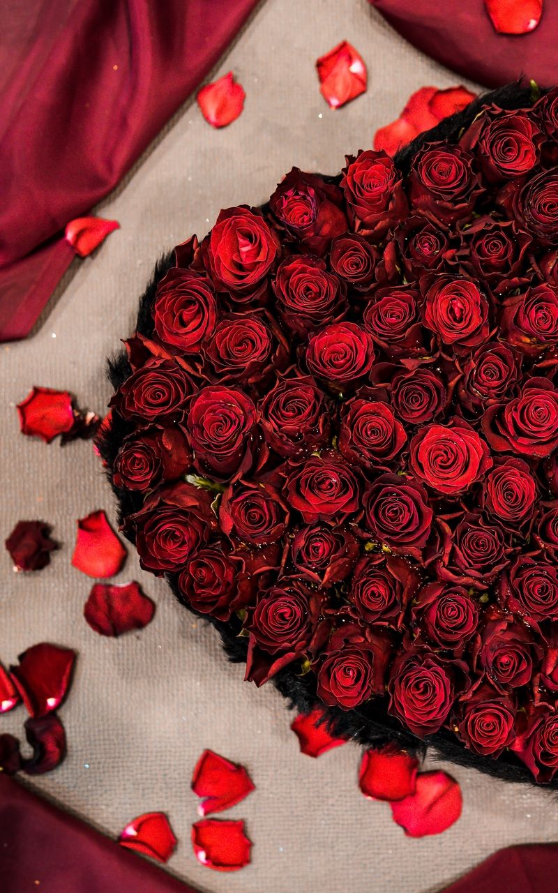 800x1280  bouquet vase wase wase обои - [1440x2560] 