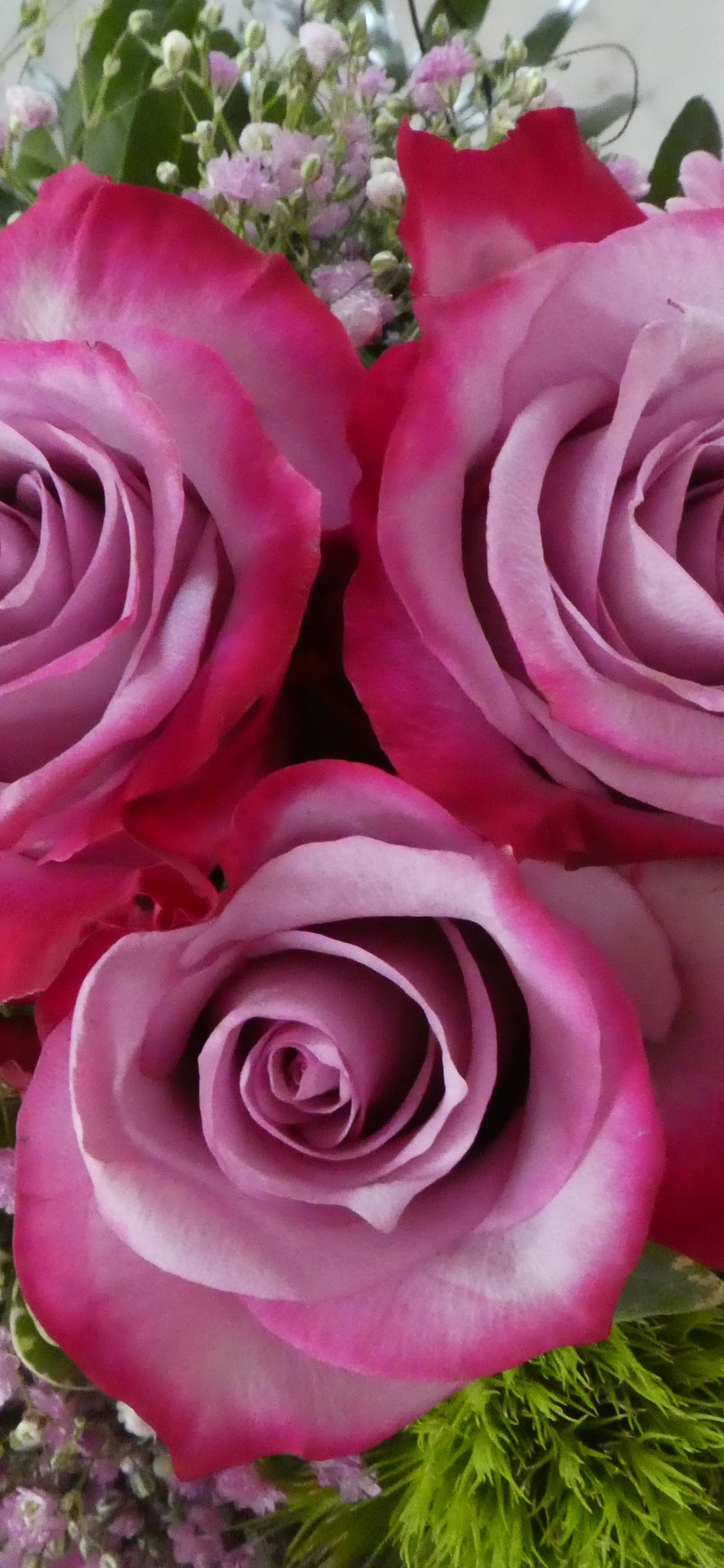 1125x2436   Download обои 1440x2560, руки, примечание, роза, цветы QHD Samsung Galaxy S6, S7, Edge, Bouquet, Roses, цветы QHD Samsung Galaxy S6, S7, Adge, nace, nace, rode, roses, цветы QHD Samsung Samsung. Цветочных картин | Скачать бесплатные изображения на unsplash