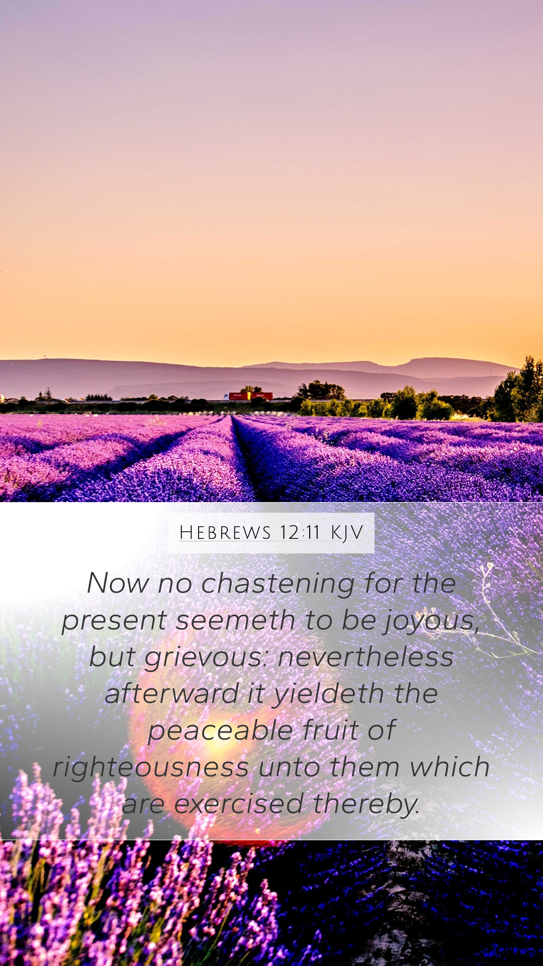 1080x1920  romans 8:18 KJV обои мобильного телефона - потому что я считаю, что страдания этого настоящего 