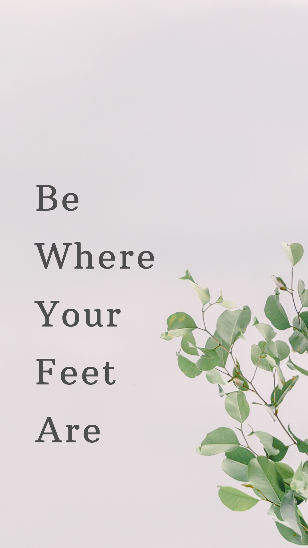 1080x1920  Beautiful Pink Gift для специального Дня святого Валентина 