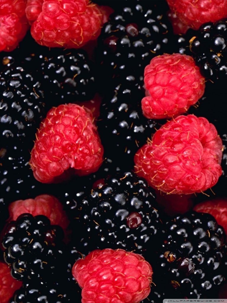 768x1024  Berries Ultra HD Обои для рабочего стола для 4K UHD TV: Multi Display Dual Monitor: Tablet: Smartphone