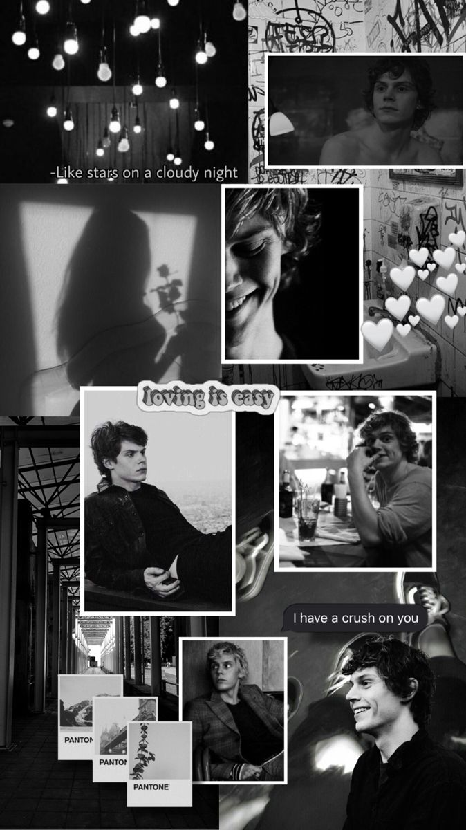 674x1200   🤍evan Peters обои эстетика | Эван Питерс, Эван, Американский ужас 