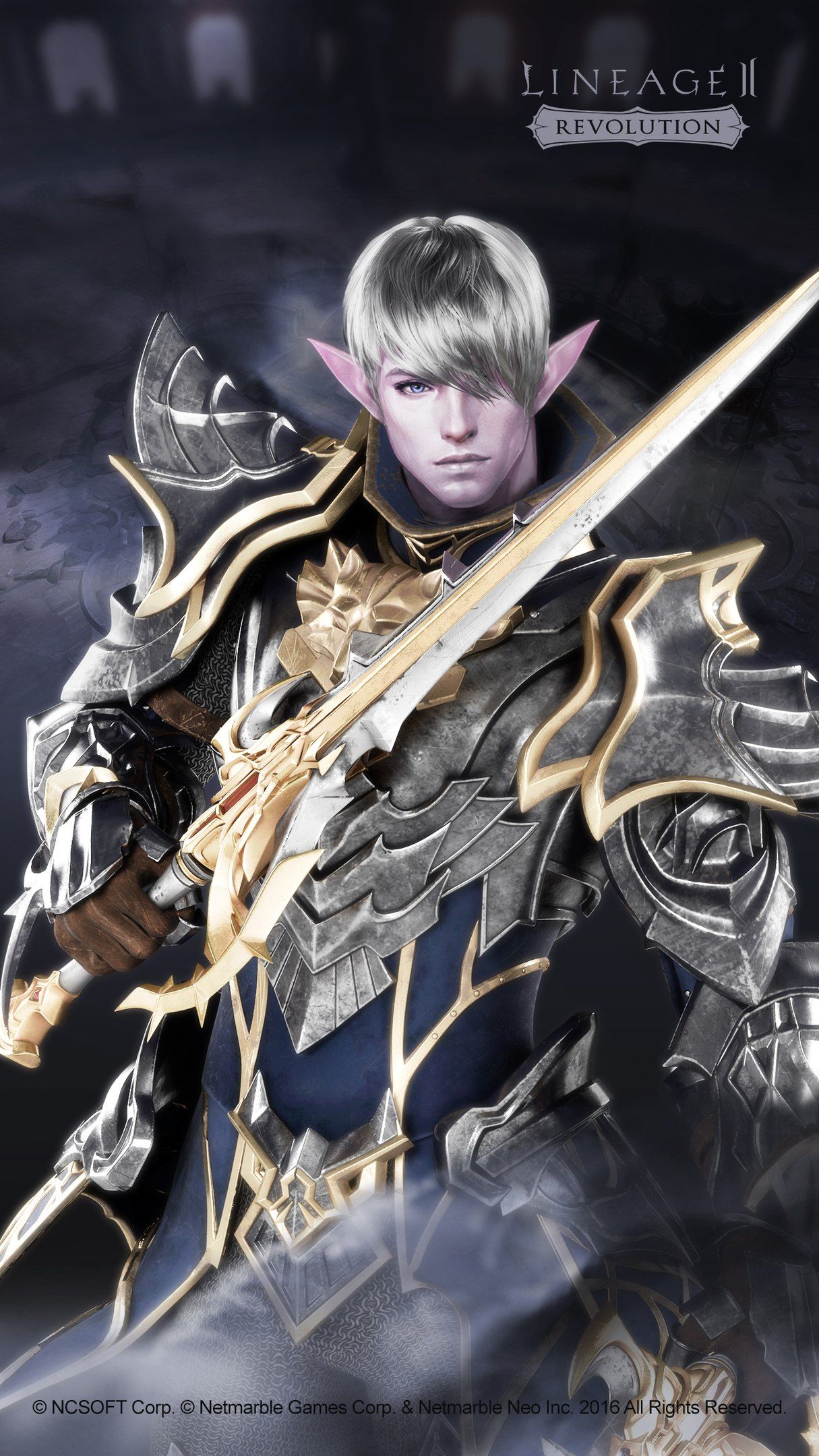 1215x2160  Lineage 2: Revolution Wallpaper - Dark Elf | Искусство Персонаж искусство Искусство обои 